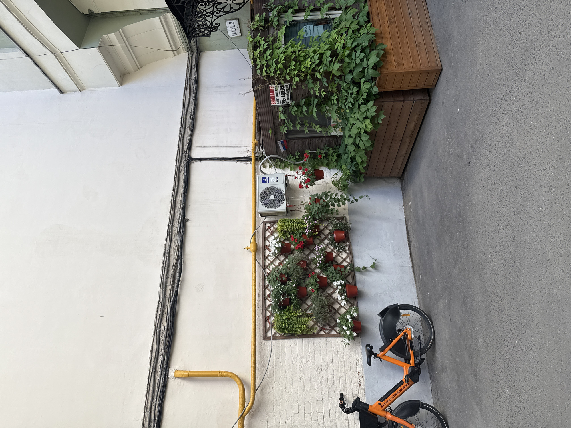 This is an outdoor, eye-level shot of a narrow alleyway or courtyard in Moscow, Russia, on a clear day. The scene is a mix of urban decay and attempts at beautification.
On the left, a stark white wall is adorned with a bundle of black electrical wires that run vertically. A bright yellow pipe snakes its way down the wall, its color a strong contrast to the muted tones of the building. Above, a decorative black metal railing and part of an overhanging structure are visible.
To the right, a rustic wooden facade is covered in lush green vines. A window peeks out from behind the foliage, and two signs are attached to the wall: one with Cyrillic text warning about surveillance, and another smaller sign with a Russian flag. Below this, an outdoor air conditioning unit is mounted on the wall, and a vertical wooden lattice is decorated with potted plants, including red flowers and greenery.
In the foreground, an orange electric bicycle is parked on the asphalt. The bicycle is an object of modern urban transit, positioned next to the more traditional, weathered elements of the building. The asphalt surface suggests a functional, utilitarian space. The overall impression is one of a slightly neglected but cared-for urban environment, typical of older parts of Moscow. No people are visible in the image.