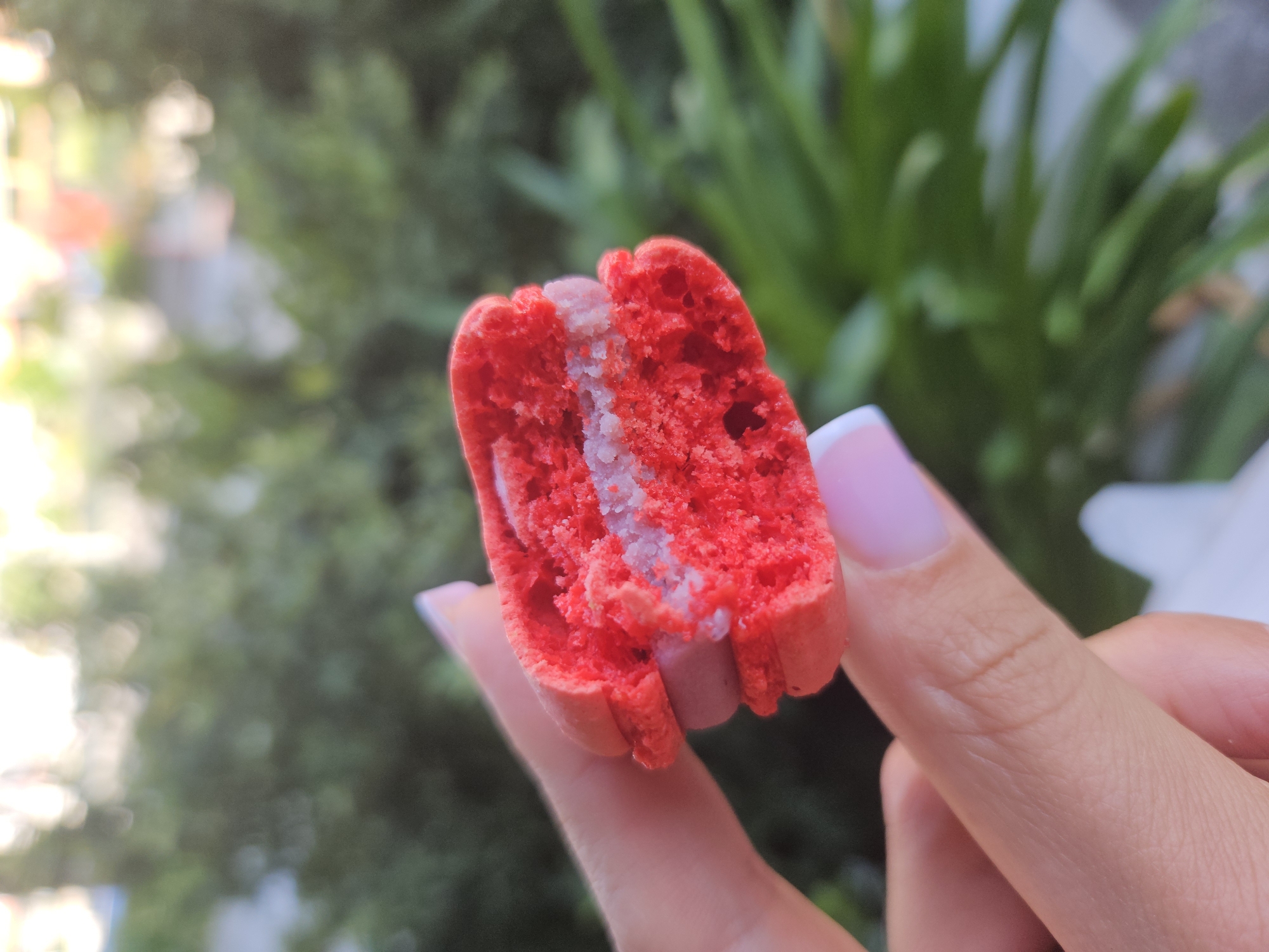 A close-up, outdoor shot features a person's fingers holding a bright red macaron that has been broken in half, revealing its interior. The macaron has two red shells and a white, creamy filling. The fingers holding the macaron have light pink manicured nails. The background is softly blurred, showing green foliage and hints of sunlight. The setting is outdoors, likely in a garden or natural environment. The focus is on the macaron and the hand.