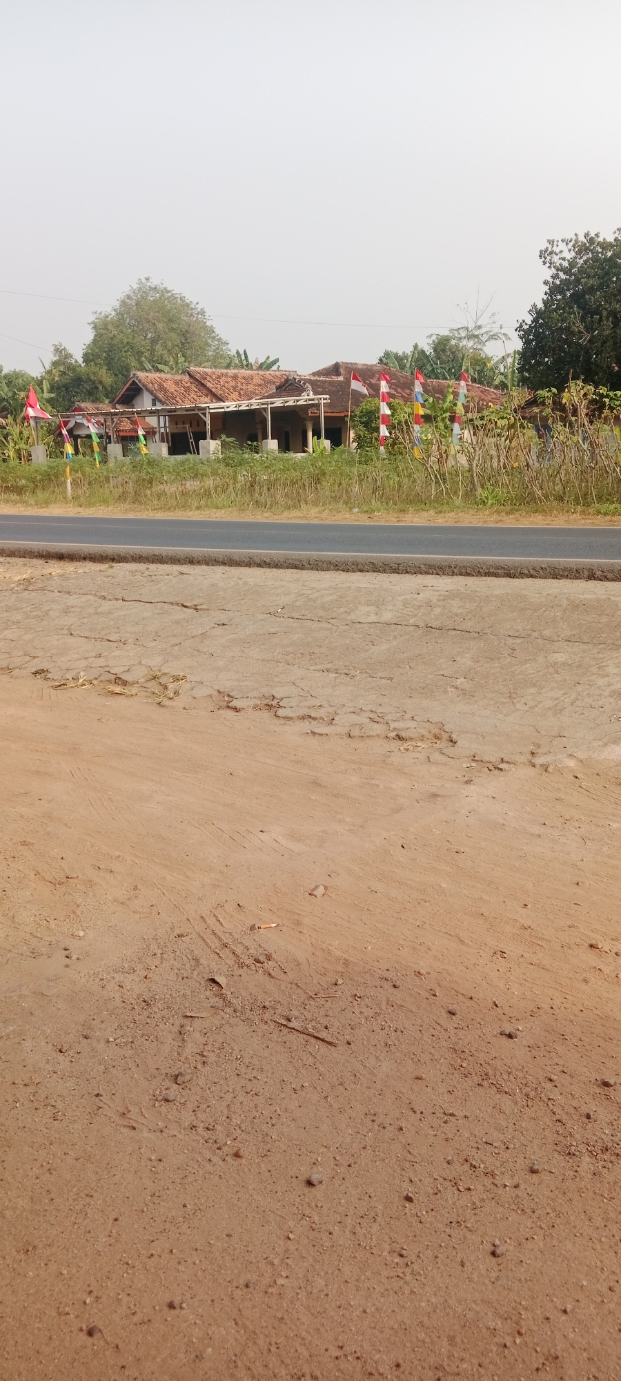 The image depicts a scene in the city of Sidodadi, Indonesia, featuring a rural road and residential structures. In the background, several houses with red tile roofs are visible, set against a backdrop of trees and vegetation. Small flags, predominantly red and white, are displayed in front of the houses, suggesting a celebration or national event. The road in the foreground is asphalt, with a strip of dry grass and earth along its edge. The ground closest to the viewer is dry, sandy soil with some cracks and scattered debris, including what appears to be a cigarette butt. The sky is overcast and hazy.
