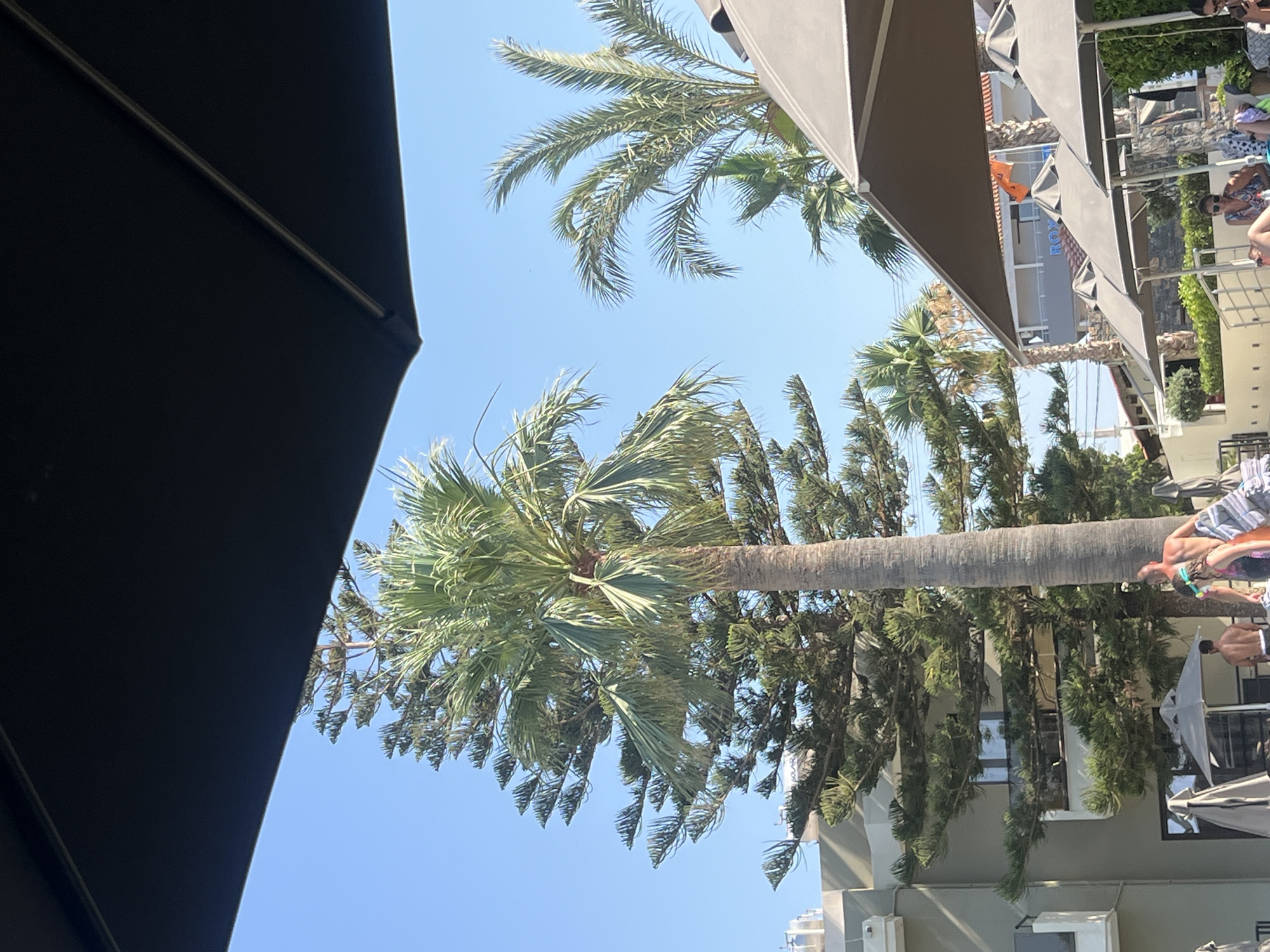 In the city of Gazi Municipal Unit, Greece, on a clear day, the image captures a sunny outdoor scene. In the foreground, a large, dark umbrella partially obscures the top of the frame. Beyond it, lush green palm trees and a tall conifer stand against a bright blue sky. To the left, a modern building with balconies and windows is visible. In the middle ground, several people are relaxing under beach umbrellas. One woman is seated, wearing sunglasses and a patterned dress. A man and a child, the man with his back to the camera and the child facing forward, walk towards the right side of the frame. The setting appears to be a resort or a pool area, indicated by the umbrellas, lounge chairs, and the general atmosphere of leisure.