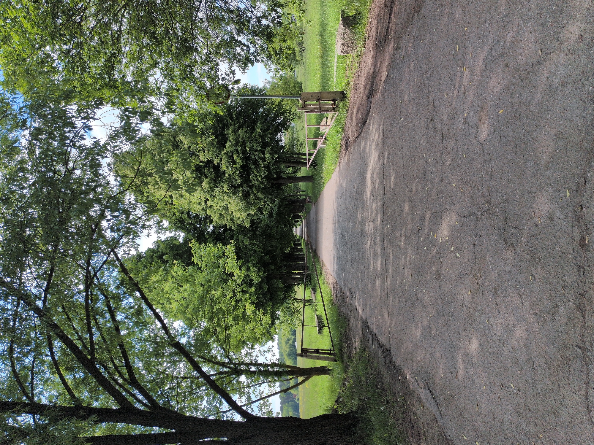 The image displays a sunlit outdoor scene, likely in Dubrovitsy, Russia, featuring a paved path bordered by lush green trees and expansive fields. A dark asphalt path, showing some wear and scattered small yellowish leaves, extends from the foreground into the distance. Shadows from the surrounding trees fall across the path. On the left side, a dense line of trees with vibrant green foliage creates a natural canopy, through which patches of bright blue sky with white clouds are visible. A large tree with thick branches dominates the lower left foreground. In the middle distance, on the right side of the path, a light-colored gate or barrier structure is visible, consisting of vertical supports and a horizontal element. A red circular object, possibly a reflector, is attached to a pole adjacent to the gate. Beyond the trees and the immediate path, wide green fields stretch into the background. The scene depicts a serene natural environment under clear, sunny daytime conditions. No human activity or visible text is present.