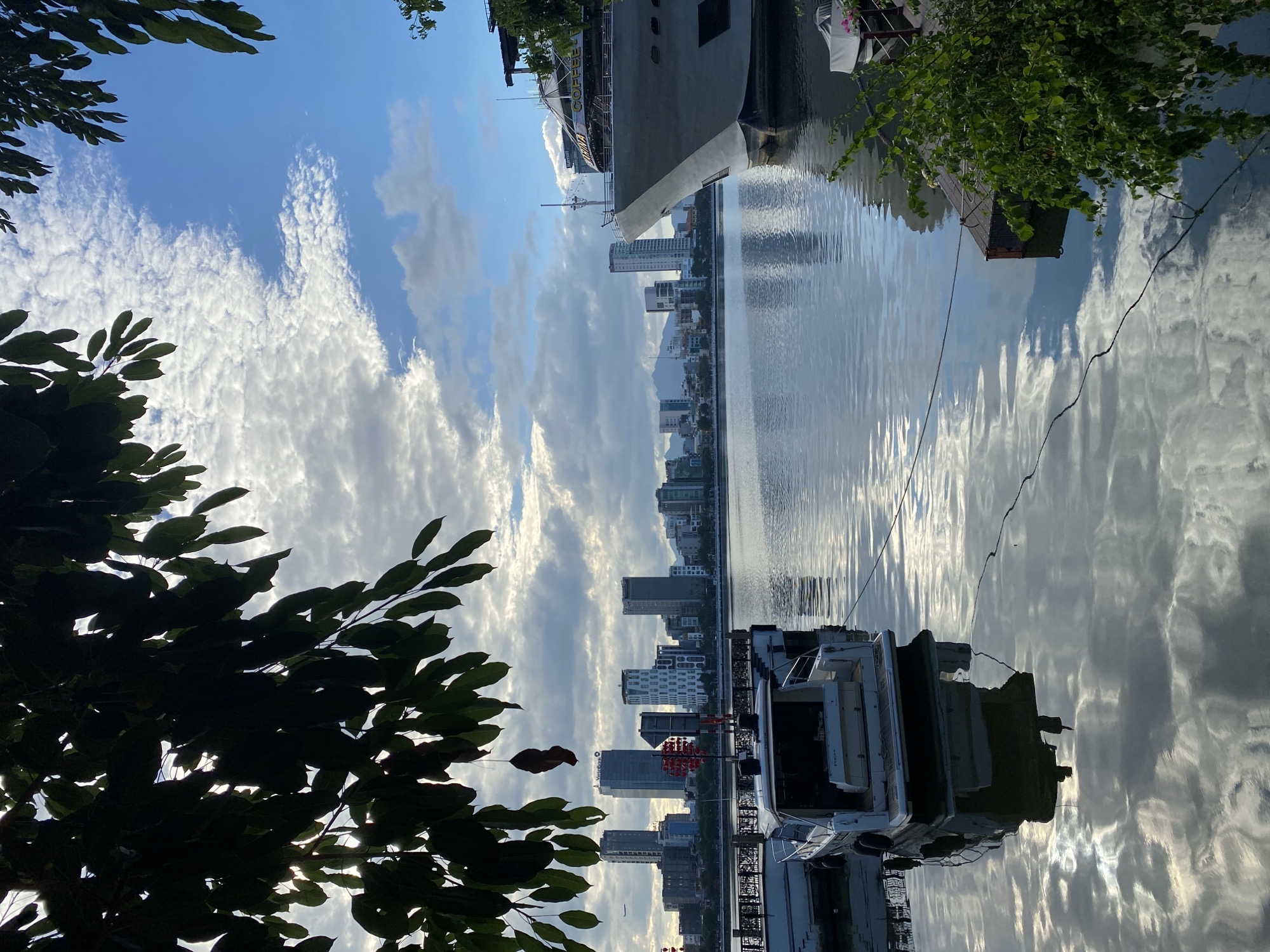 The image captures a waterfront view in Đà Nẵng, Vietnam, likely along the Han River. In the foreground, dark green leaves from a tree branch hang over the scene, partially obscuring the view of the sky. The sky itself is a mixture of bright blue and white clouds, with the sun creating highlights on the water's surface.
Several boats are docked. Closest to the viewer, a white motorboat is moored, its reflection visible in the water. Further to the right, a large, white ship, possibly a cruise ship or a restaurant vessel, occupies a significant portion of the frame. Its bow points towards the right side of the image, and a sign with the words "MARINA COFFEE" is visible on its upper deck.
Across the river, the Đà Nẵng city skyline is visible, featuring numerous modern high-rise buildings. The buildings are of varying heights and architectural styles, with some appearing to be hotels or office buildings. In the distance, mountains can be seen beyond the city.
The water is calm and reflective, mirroring the sky and the boats. The overall impression is one of a serene morning or late afternoon scene in a vibrant coastal city. There are no people visible in the image.