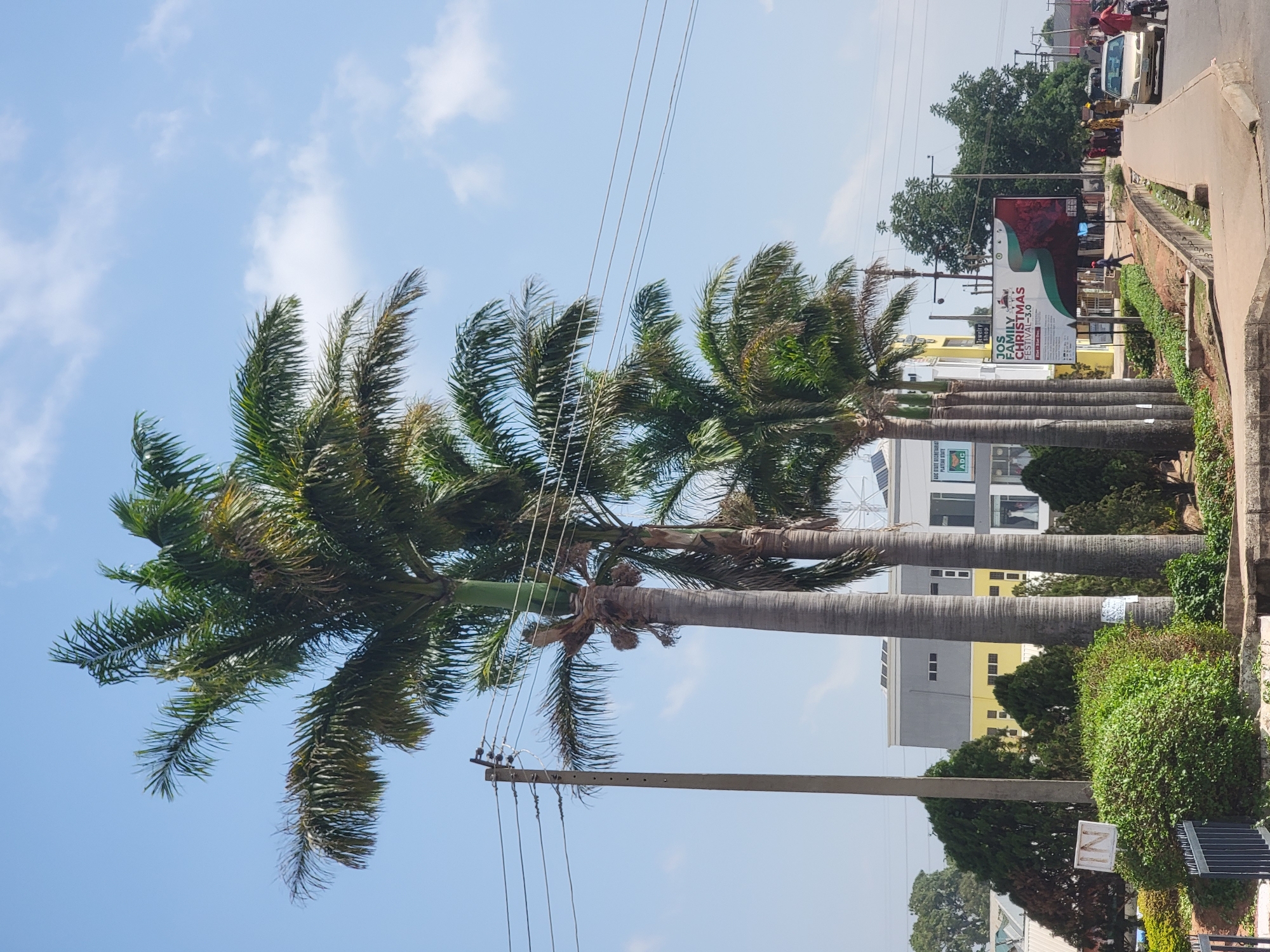The image shows a row of palm trees lining a street in Jos, Nigeria. Power lines run parallel to the trees, supported by concrete poles. In the background, buildings of varying heights and colors are visible, along with lush greenery. A large billboard promoting the "JOS FAMILY CHRISTMAS FESTIVAL 3.0" is present along the street. Vehicles and people are seen further down the road, suggesting moderate street activity. The sky is partly cloudy.