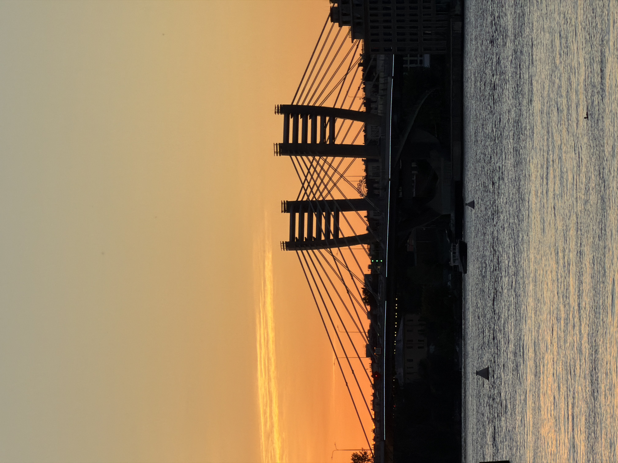 This is a vertical, eye-level, medium shot of a cable-stayed bridge silhouetted against an orange and yellow sunset sky over a body of water. The bridge features two prominent, dark pylons, each with horizontal bracing, supporting a network of thin cables that extend downwards to the bridge deck. The bridge deck itself is dark and appears to have some illuminated lights.
On the far right of the image, a dark, multi-story building with a grid-like facade is visible, also silhouetted. To the left of the bridge, there are more dark shapes of buildings and trees. The water in the foreground is dark and rippled, reflecting the colors of the sunset, with a muted orange glow on the surface in the lower half of the frame.
Several buoys, appearing as small white cones, are scattered across the water. In the middle distance, a small dark boat is visible on the water. Further out on the water, a single dark bird is swimming. The sky is a gradient of soft orange at the horizon, transitioning to a lighter yellow and then a pale beige at the top of the frame. Thin, wispy clouds are visible in the orange band of the sky.
The scene is identifiable as the Vantovy Bridge (part of the Western High-Speed Diameter) in Saint Petersburg, Russia, due to its distinctive architecture and the urban waterfront setting. The time of day is late evening, during sunset.