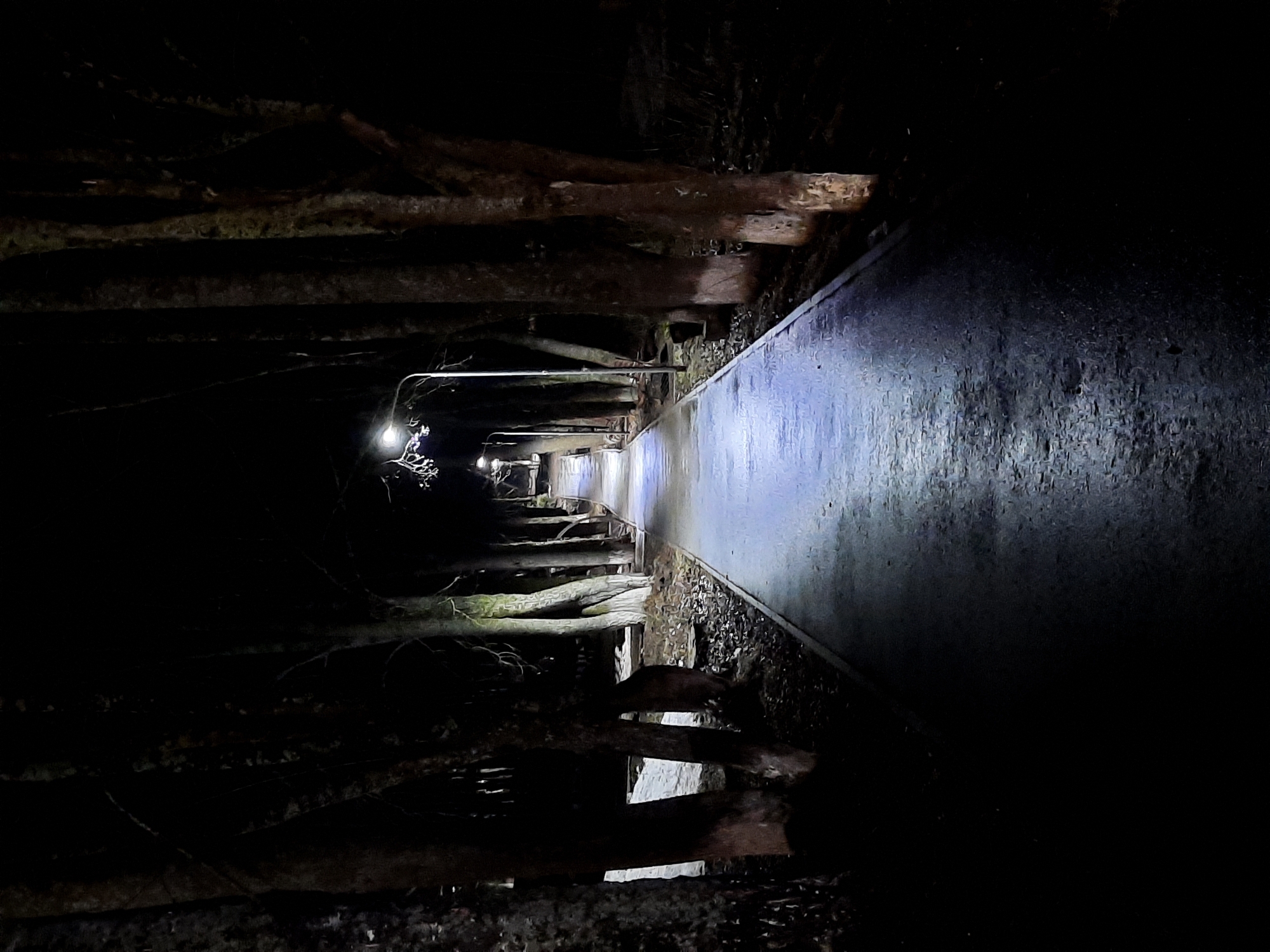 The image depicts a dark, narrow walkway or tunnel-like structure in an unspecified location in Krasnogorskoye, Russia. The walkway is bordered on the right by a smooth, light-colored surface, possibly concrete or stone, which reflects a significant amount of light. The left side of the walkway features a series of rough, dark beams or logs, some of which appear to be decaying. A few dim lights are visible further down the walkway, illuminating the path. The scene is generally dark and appears to be either at night or in a very dimly lit area. There are steps further down the pathway.