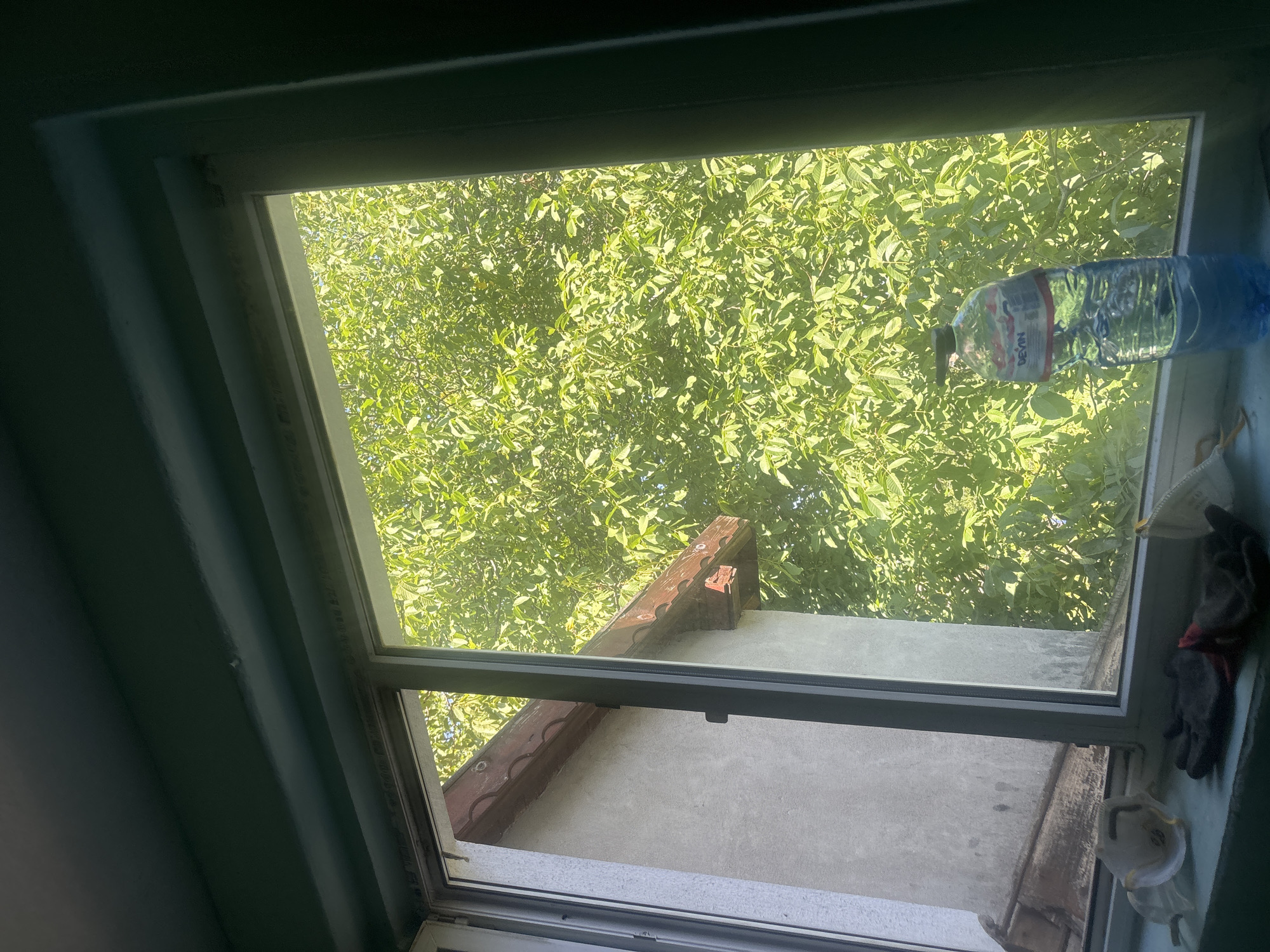 The image is a medium shot, taken from inside a room looking out of a window. The window frame is dark, and the interior ceiling above the window is painted a dark teal color. The window is open, revealing a bright, sunlit exterior.
Outside the window, a dense canopy of green leaves from a large tree dominates the view. Sunlight filters through the leaves, creating a dappled effect. To the left, partially visible through the open window, is the side of a building. This building has a textured, light-colored exterior wall and a reddish-brown tiled roof with wooden eaves.
On the windowsill inside the room, several objects are placed. Two white face masks, possibly N95 respirators, are visible, one with a yellow strap. A pair of dark gloves, one red and one black, are also on the windowsill. A partially filled plastic water bottle with a blue liquid is standing upright on the windowsill in the right side of the frame. The label on the bottle is partially visible, reading "DEVIN". The windowsill itself appears to be a light blue or teal color.
The scene is static, with no visible people or animals. The overall impression is one of a domestic setting, possibly during the daytime. The location is given as Unknown, Unknown.
