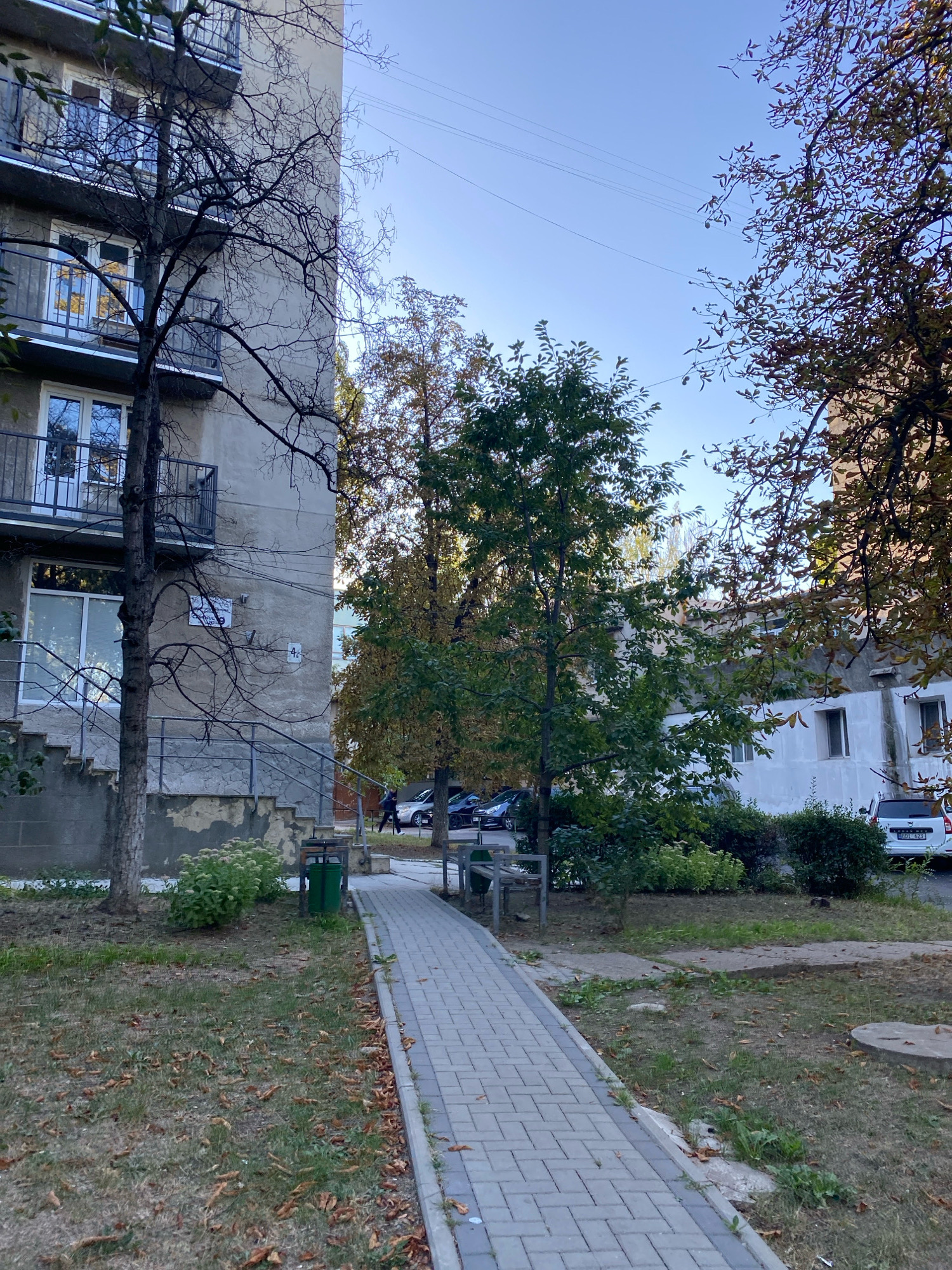 The image depicts an outdoor scene with an apartment building on the left and trees and a sidewalk in the foreground and middle ground. The building is light gray with multiple balconies and windows. A bare tree with dark branches stands in front of the building. A paved sidewalk, made of light gray rectangular bricks, runs diagonally from the bottom right towards the center of the image. To the right of the sidewalk are patches of grass, some with fallen leaves, and several parked cars, including a white SUV with a license plate that reads "MDG 623". In the background, behind the trees, is another building, which appears to be white or light-colored. The sky is clear and blue. The overall impression is a residential area in a city, likely during autumn given the fallen leaves and the colors of some of the trees. Based on the license plate format, the image is likely from Moldova. The building with the "4" sticker on it and the general architectural style suggest it could be in Chișinău, Moldova. A person is walking away from the camera on the sidewalk in the background, near the parked cars.
