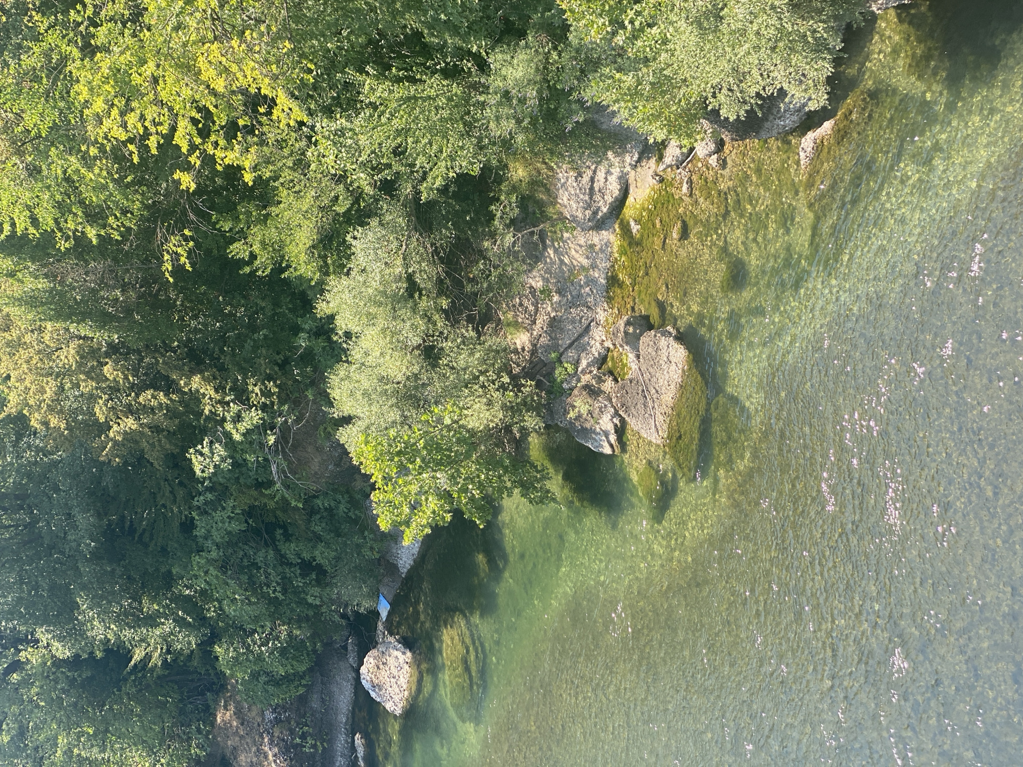 The image shows a clear, shallow river flowing through a lush, green forested area. The riverbed is visible, with rocks and aquatic plants scattered throughout. Sunlight glints off the water's surface, creating a shimmering effect. Trees with dense foliage line the riverbank, casting shadows on the water. The scene suggests a natural, peaceful environment, likely in a park or natural reserve within the city of Podgorica, Montenegro. There are no people or animals visible in the image. The water appears clean and inviting, with a gentle current. The overall impression is one of natural beauty and tranquility.
