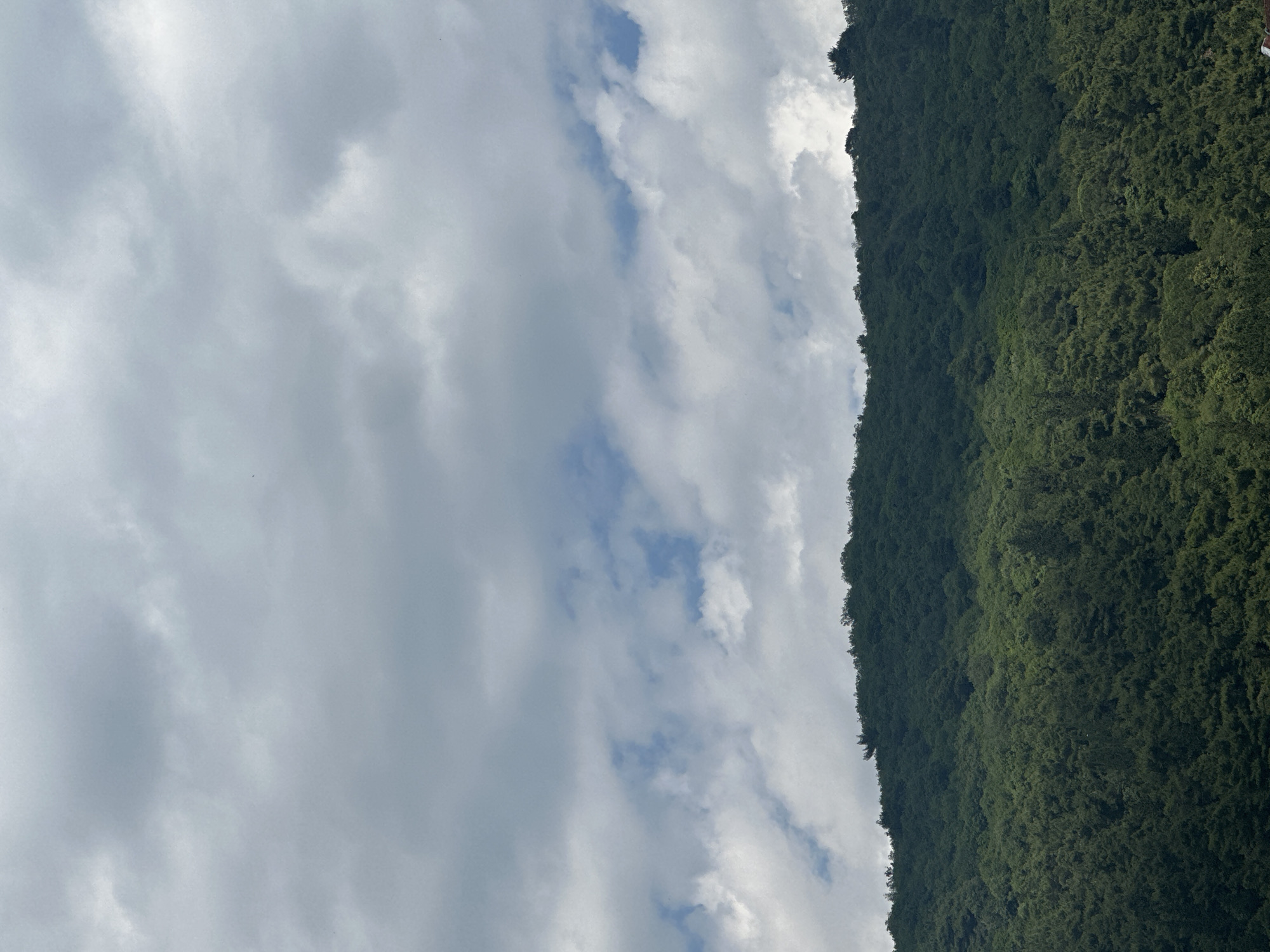 The image shows a view of a landscape likely taken in or near Budva, Montenegro. The right side of the frame is dominated by a densely forested mountain slope, with a rich green color suggesting a healthy ecosystem. The left side presents a sky filled with predominantly grey and white clouds, with patches of blue visible. The composition is such that the mountain and sky are positioned as adjacent vertical blocks. The orientation suggests the camera was held vertically, which may distort perception of scale and perspective. The image provides no direct information about people or specific activities.