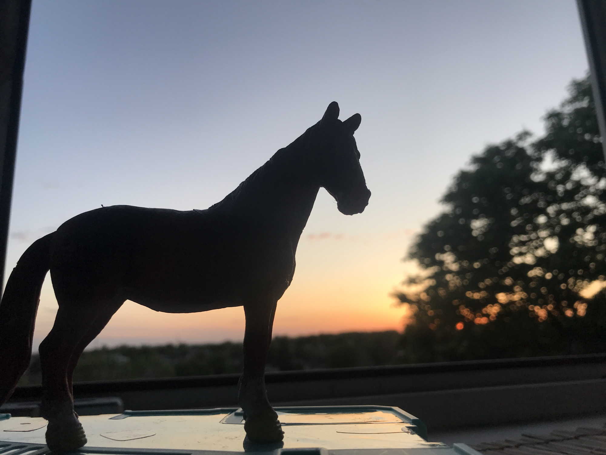 The image shows a silhouette of a horse figurine against a sunset background. The figurine stands on a reflective surface, likely a plastic container. The sunset displays a gradient from light blue at the top to orange near the horizon. A dark tree is visible to the right of the horse. The setting suggests an elevated position, perhaps a balcony or rooftop. Location information is not discernible from the image. The city of Kharkiv, Ukraine is not discernable from the image.