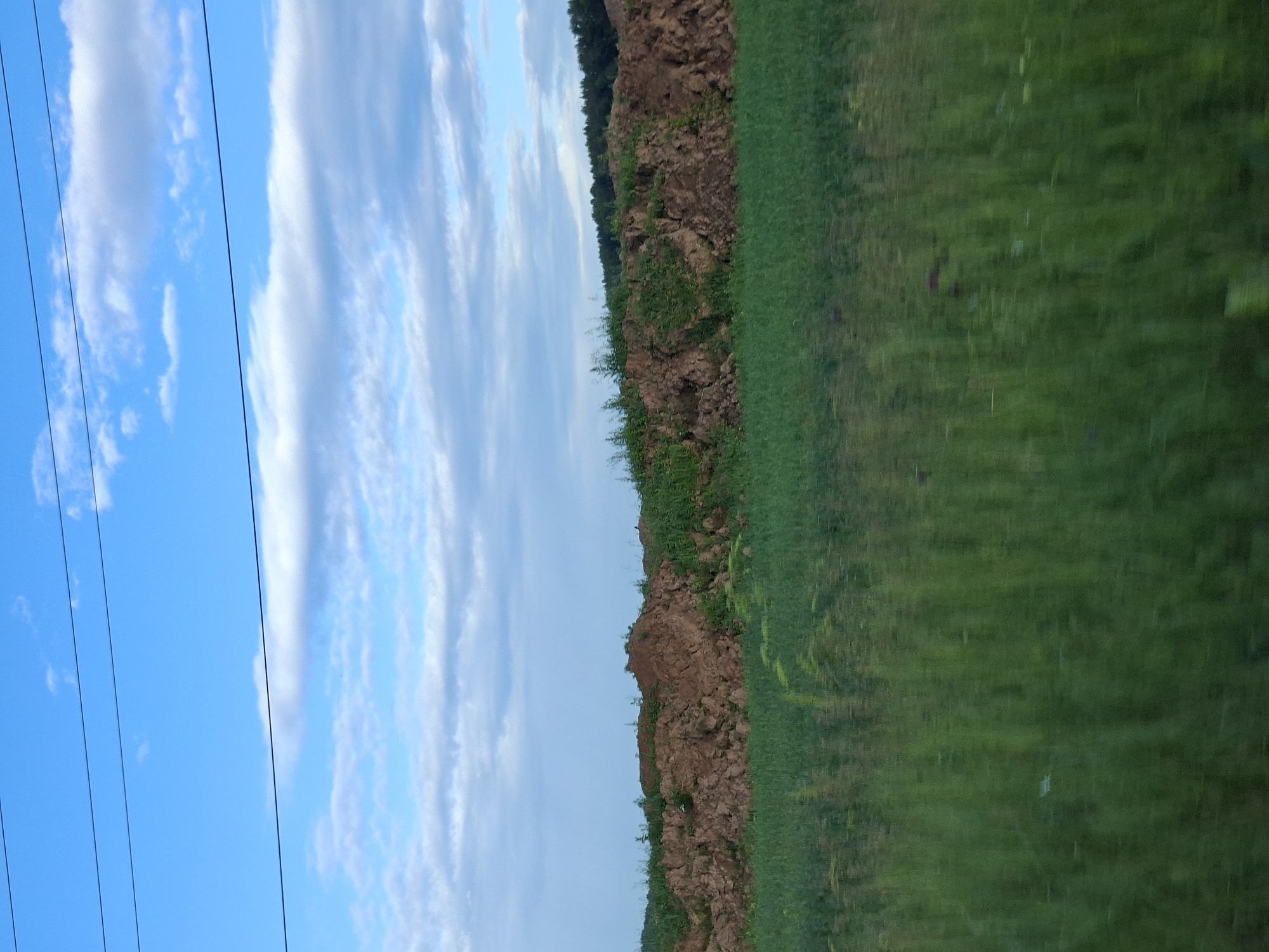 The image depicts an outdoor scene under a partly cloudy blue sky. In the foreground, a blurred expanse of green vegetation suggests movement, possibly from a vehicle. Behind this, a large mound of reddish-brown earth is visible, with patches of green growth on its surface. Beyond the earth mound, a line of dark green trees forms a distant horizon. Three thin, dark horizontal lines, likely power lines, stretch across the upper portion of the sky. The image does not provide any visual information that would allow for the identification of the specific location within the city of Чумна, Russia.
