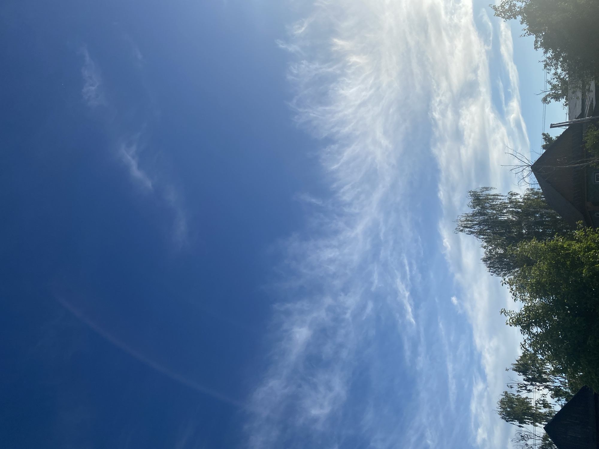 The image captures a bright, sunny daytime sky over Chaikovsky, Russia. The vast majority of the frame is dominated by a clear blue sky, transitioning from a deep, rich blue at the top to a lighter hue towards the bottom right. Numerous wispy, white clouds, characteristic of cirrus or cirrocumulus formations, stretch across the sky, particularly concentrated in the middle and lower right portions of the frame. These delicate clouds are brightly illuminated by the sun, creating ethereal, feathery patterns against the blue backdrop.
Along the bottom edge of the image, the vibrant green foliage of trees is visible, with dense leaves and branches. To the lower right, partially obscured by the trees, is a dark-colored roof or building structure, possibly residential. Some faint utility lines or thin branches are discernible near the roof. No people are visible, and no specific activity is taking place; the scene is a tranquil view of the sky and natural surroundings on a clear day. There is no visible text.