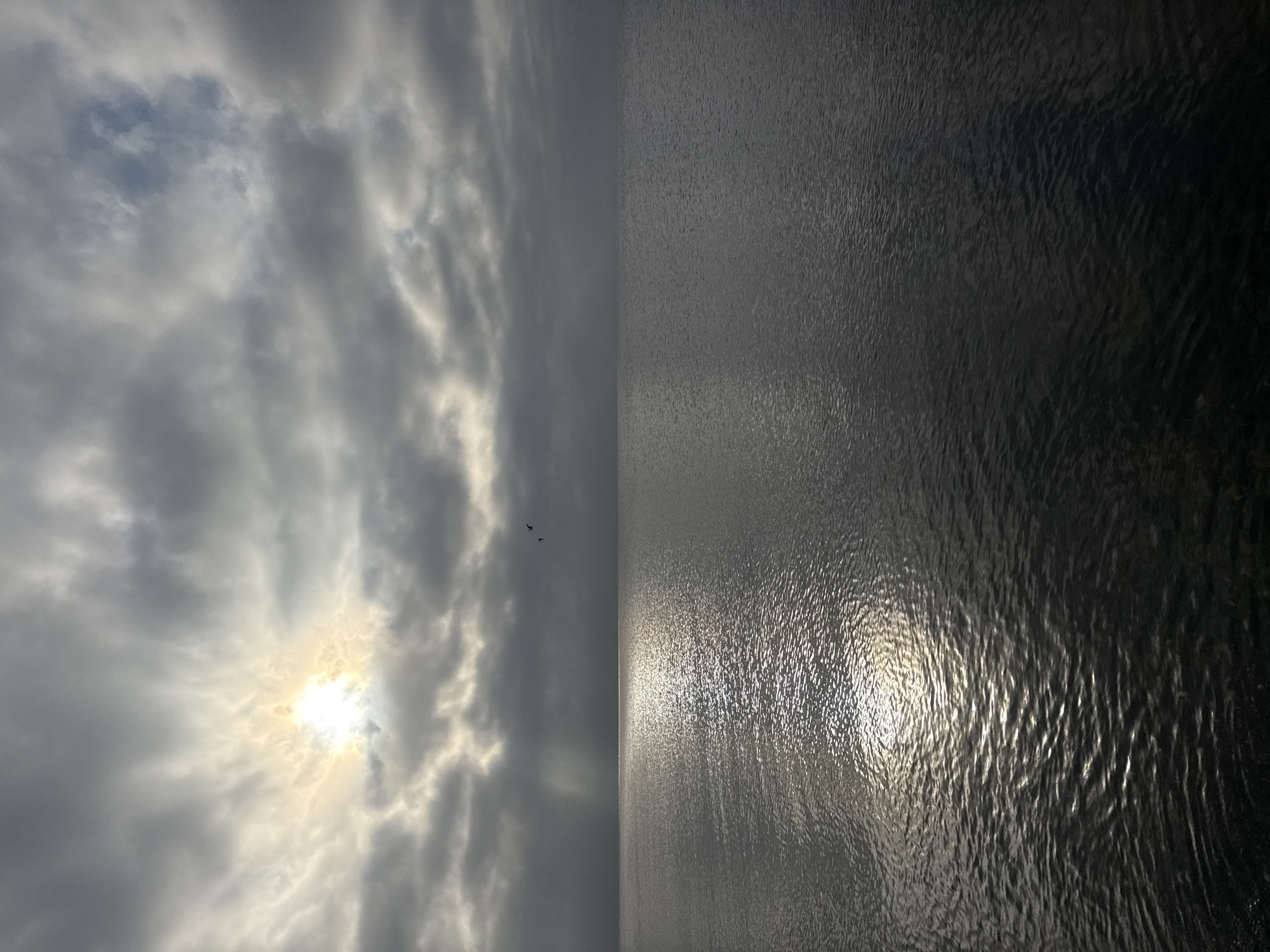 The image depicts a vast, dark body of water, likely the Sea of Japan, reflecting the subdued light of a cloudy sky. The sun attempts to break through the thick, gray clouds, casting a bright, ethereal glow and creating shimmering pathways of light on the water's surface. A few dark silhouettes of birds can be seen in the sky above the horizon. The scene is calm and serene, with the gentle ripples on the water suggesting a tranquil atmosphere. The image's composition, with the stark horizon line and the dramatic interplay of light and shadow, evokes a sense of vastness and natural beauty. The location is likely the coastline of Vladivostok, Russia, given the geographical context of the Sea of Japan.