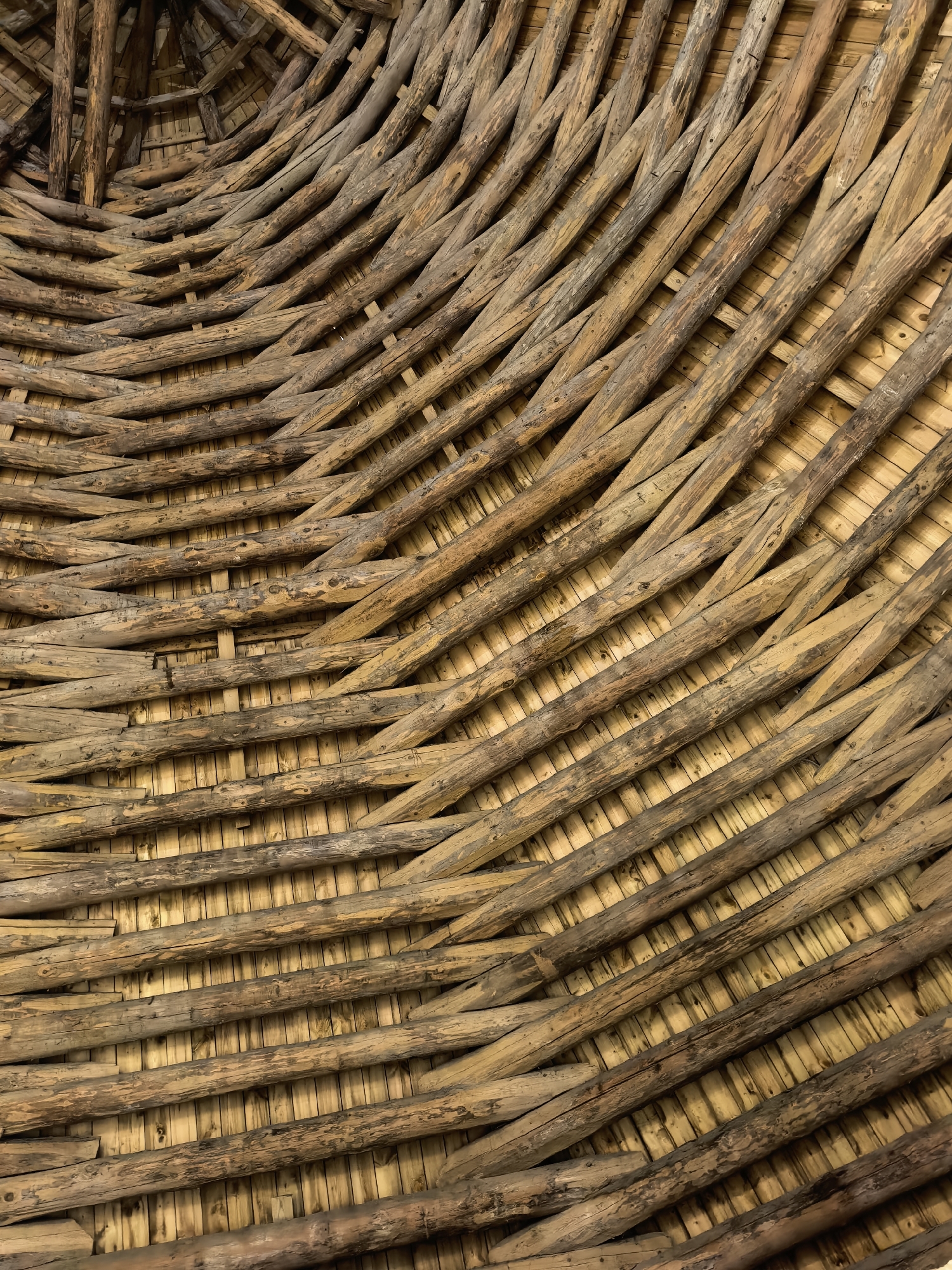 The image shows the interior roof structure of a building, likely a historical one, constructed from natural materials. The roof is made of interwoven branches and wooden logs, creating a rustic and organic pattern. The underlying structure appears to be composed of smaller, lighter-colored wooden planks or reeds. The overall impression is one of traditional craftsmanship and natural materials. The image does not contain any people or explicit actions. It is a close-up view, focusing on the texture and construction of the roof. The location in Staraya Ladoga, Russia, suggests a historical context, possibly relating to a monastery, church, or ancient dwelling.