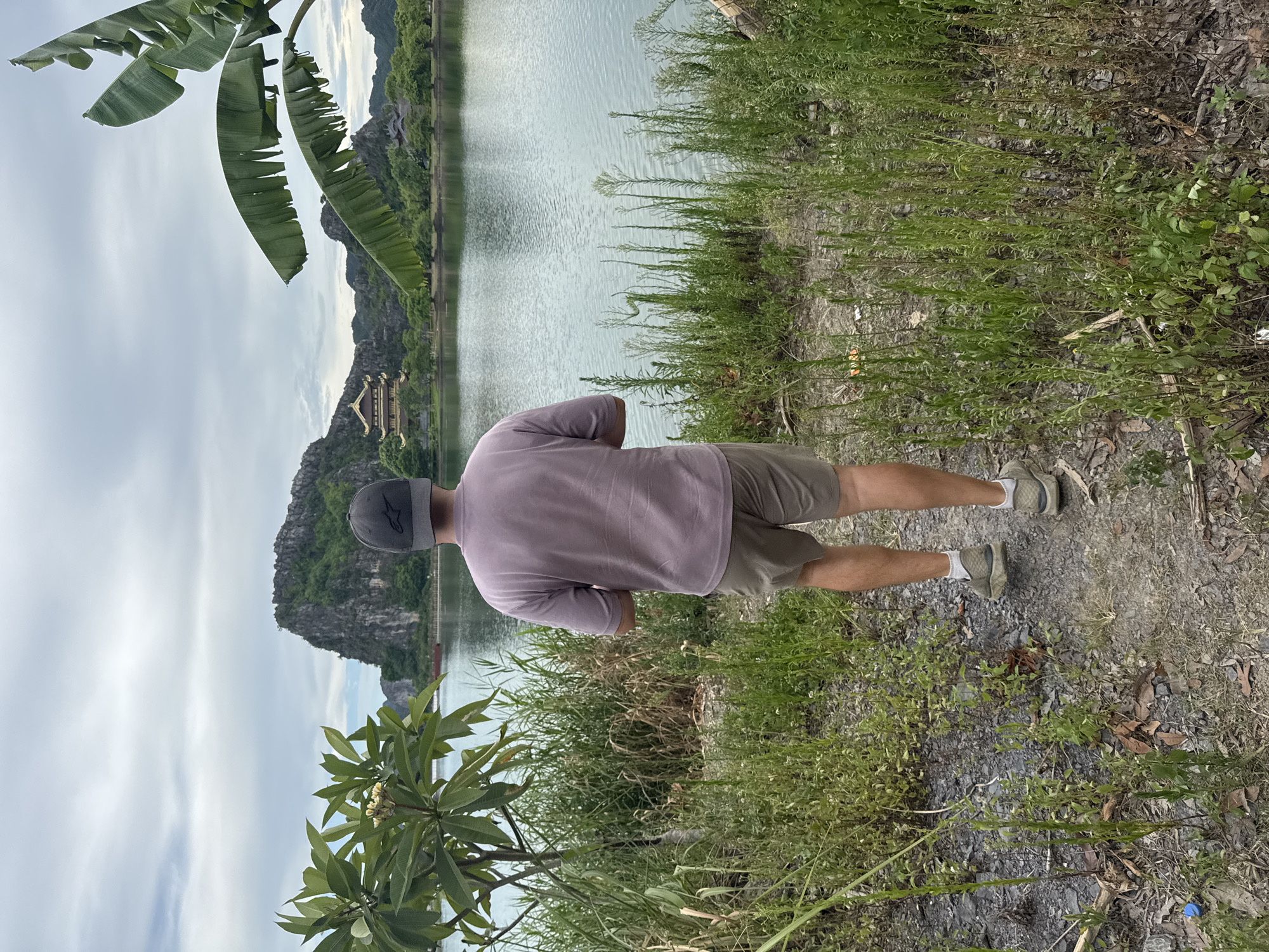 A person wearing a purple t-shirt and khaki shorts stands facing away from the camera, looking out at a wide, calm body of water. The person has a dark baseball cap on and is wearing athletic shoes with white socks. To the left of the person, a plant with broad green leaves and white flowers is visible. On the other side of the water, across the expanse, is a dramatic karst landscape with lush green trees and a distinctive, multi-tiered golden pagoda structure nestled among the rock formations. The sky above is overcast with scattered clouds. The foreground is populated with dense, green vegetation and some dry leaves scattered on the ground. This scene appears to be within the area of Hoa Lư Ward, Vietnam, likely near the Tam Cốc-Bích Động or Trang An scenic areas, known for their similar karst topography and water features.
