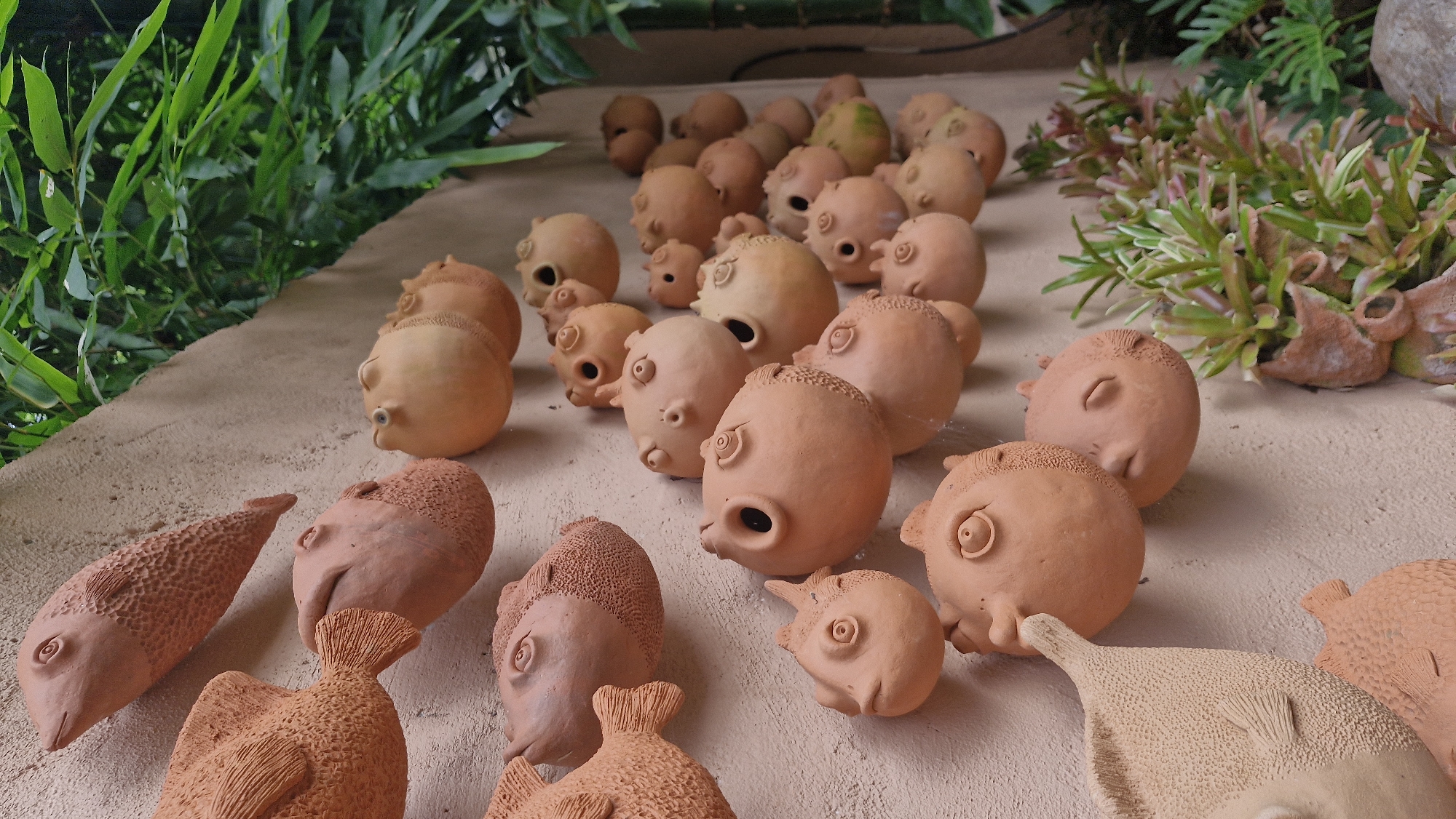 This image captures a decorative outdoor wall in Mae Rim, Thailand, adorned with numerous terracotta fish sculptures. The sculptures, varying in size and detail, are mounted in a cascading pattern on a textured, light-colored wall. Most of the fish are round and bulbous, with protruding eyes and openings resembling mouths or gill slits, giving them a whimsical, almost pufferfish-like appearance. Some fish are more elongated, with visible fins and textured scales.
The wall is partially obscured by lush green foliage, suggesting a garden or natural setting. A few small potted plants with spiky green and reddish leaves are also visible at the bottom right, planted in what appear to be small terracotta pots that are also part of the wall's decoration. The lighting indicates it is daytime, with soft shadows cast by the sculptures. There are no people or animals present in the scene, and the focus is solely on the arrangement of the ceramic fish and the surrounding environment.