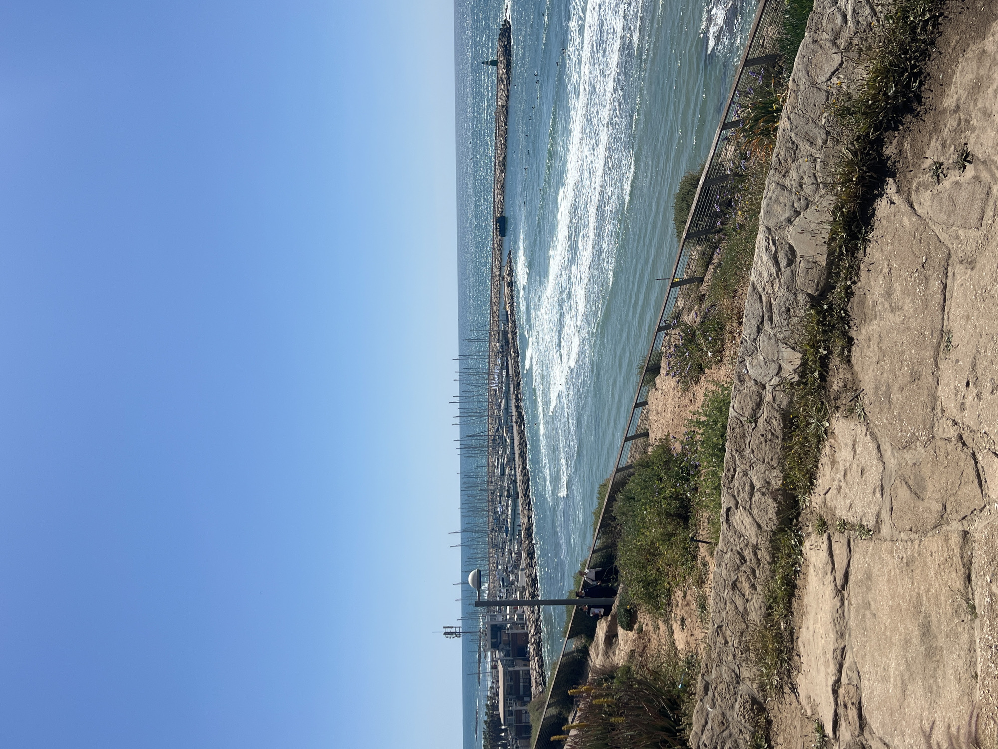 This image, taken in Tel-Aviv, Israel, captures a bright, sunny coastal landscape overlooking a marina and the Mediterranean Sea. The photo appears to be taken from an elevated position, possibly a promenade or cliffside.
In the immediate foreground on the right, there is a stone and concrete path or wall, partially covered with dirt and sparse green and purple vegetation. A metal railing runs along the edge of this elevated area, separating it from the lower marina.
The middle ground is dominated by a busy marina, filled with numerous sailboats and yachts whose tall masts extend upwards towards the sky. Several buildings associated with the marina are partially visible among the docked boats. A modern street lamp with a spherical light fixture stands prominently near the marina's edge, and a few indistinct human figures can be seen nearby, possibly seated or observing the view.
Beyond the marina, a long, rocky breakwater stretches into the sea, protecting the harbor. A small green marker or light is visible on the breakwater. The sea itself is a vibrant blue-green, with streaks of white foam suggesting waves or currents, particularly near the breakwater.
The background on the left is a vast expanse of clear, bright blue sky, indicating excellent weather conditions. The bright sunlight suggests it is midday or early afternoon. The overall scene conveys a sense of peaceful leisure and the bustling activity of a coastal city's marina. No visible text is present in the image.