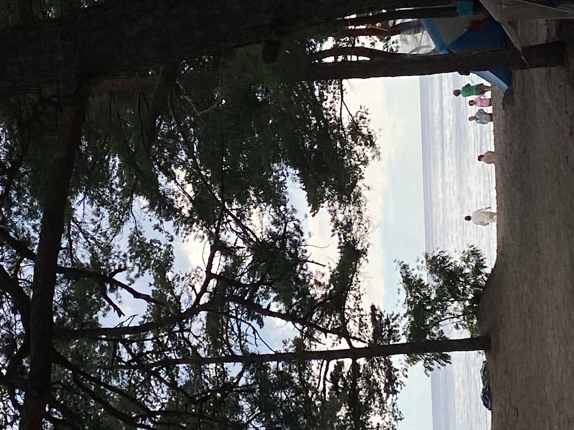 This image depicts a beach scene on a cloudy day, with a body of water, likely the Baltic Sea, in the background. Several people are present on the sand, some walking, some standing in groups. A tent is partially visible on the right side of the frame, suggesting a camping or recreational area. The foreground is dominated by the shadows of trees, with their branches and foliage creating a dark silhouette against the lighter sky and sea. The overall impression is one of a quiet, outdoor gathering by the water. The location is identified as Baltiiskoe, Russia.