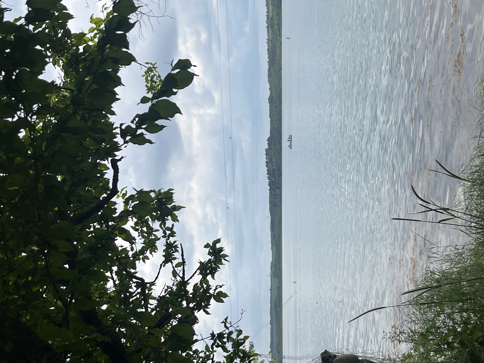 The image depicts a body of water, likely a lake or bay, viewed from a shoreline. Trees and vegetation frame the view on either side. Overhead power lines stretch across the scene. There's a boat visible in the distance. The location is likely near Burgas, Bulgaria, given the landscape and vegetation. Details are lacking to ascertain the exact location or any specific actions/interactions.
