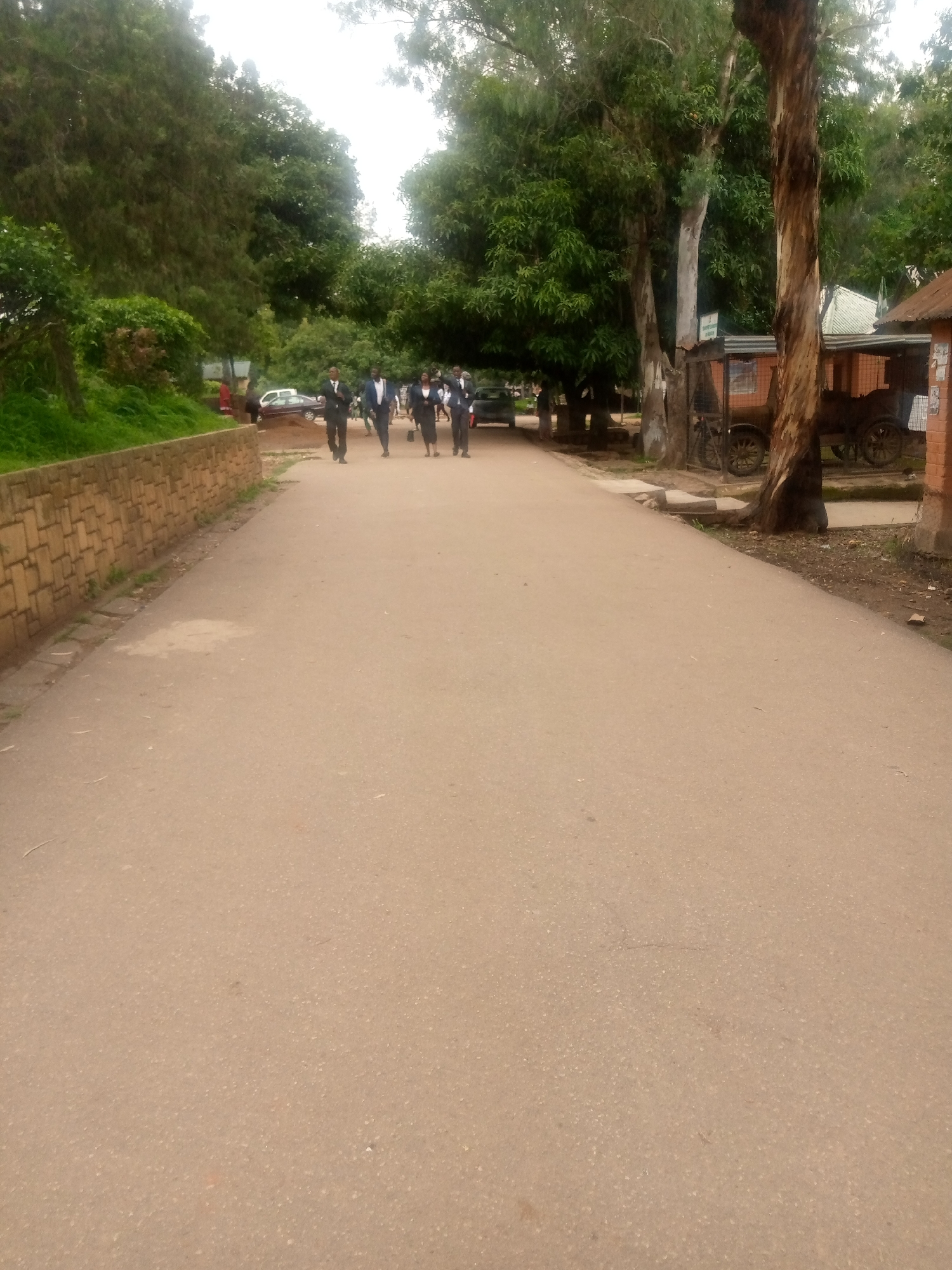 A group of six individuals, four men and two women, are walking on a paved road. They are dressed in formal attire, with the men in suits and ties and the women in suits or formal dresses. The group is moving from left to right in the frame. In the background, there are trees, a brick wall, and some buildings. To the left of the road, a low brick wall is visible. Further in the background, there are cars parked on the side of the road. The environment appears to be outdoors in a somewhat green area, possibly a campus or a public space. There is a horse-drawn carriage visible to the right in the background. The weather appears to be overcast, with a bright sky suggesting daylight. The image was taken in Jos, Nigeria.