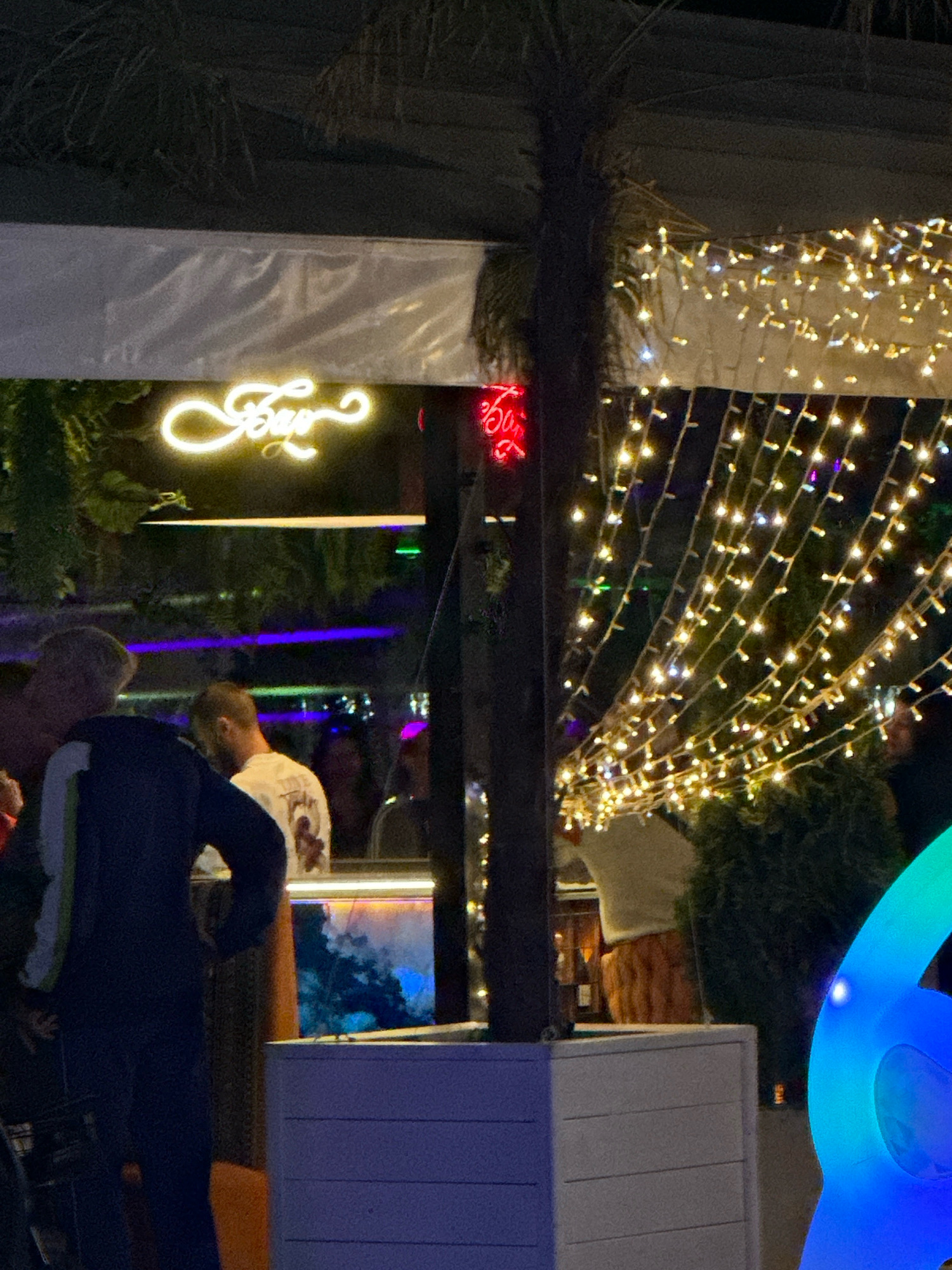 In Lermontovo, Russia, an outdoor night scene unfolds with a tropical ambiance. A neon sign spelling "Fay" in cursive yellow letters illuminates the upper left portion of the frame. Below the sign, a white rectangular planter box is visible, containing a digital display that shows an image of clouds and a blue sky. To the right of the planter, a large, colorful, illuminated abstract sculpture, possibly a stylized animal or figure, glows with gradients of blue and green. String lights, golden in hue, are draped across the upper part of the scene, creating a festive atmosphere. In the foreground, a person wearing a dark blue jacket with green and white stripes stands with their back to the camera, facing towards the right. Behind them, another person in a light-colored t-shirt is partially visible. The background suggests a lively establishment with other patrons and decorative elements, all contributing to a vibrant nighttime setting.