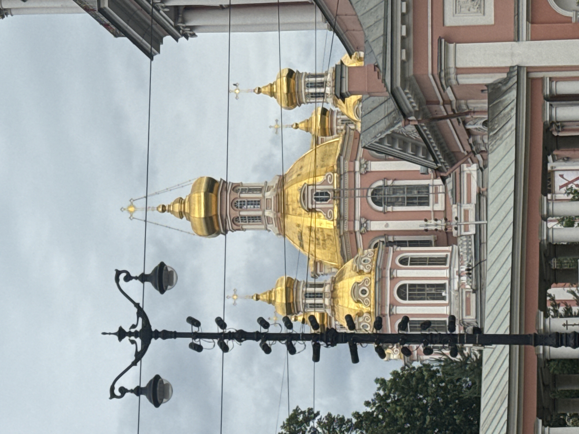 The image shows a view of the Church of the Assumption of the Most Holy Mother of God (Smolny Cathedral) in Saint Petersburg, Russia, on a cloudy day. In the foreground, a tall, dark lamppost with multiple lights is visible on the left side of the frame. Behind the lamppost, the pink and gold domes and spires of the cathedral dominate the background. The cathedral features ornate architecture with arched windows and decorative elements. Wires are strung across the sky, obscuring parts of the building. Trees are visible to the far left.