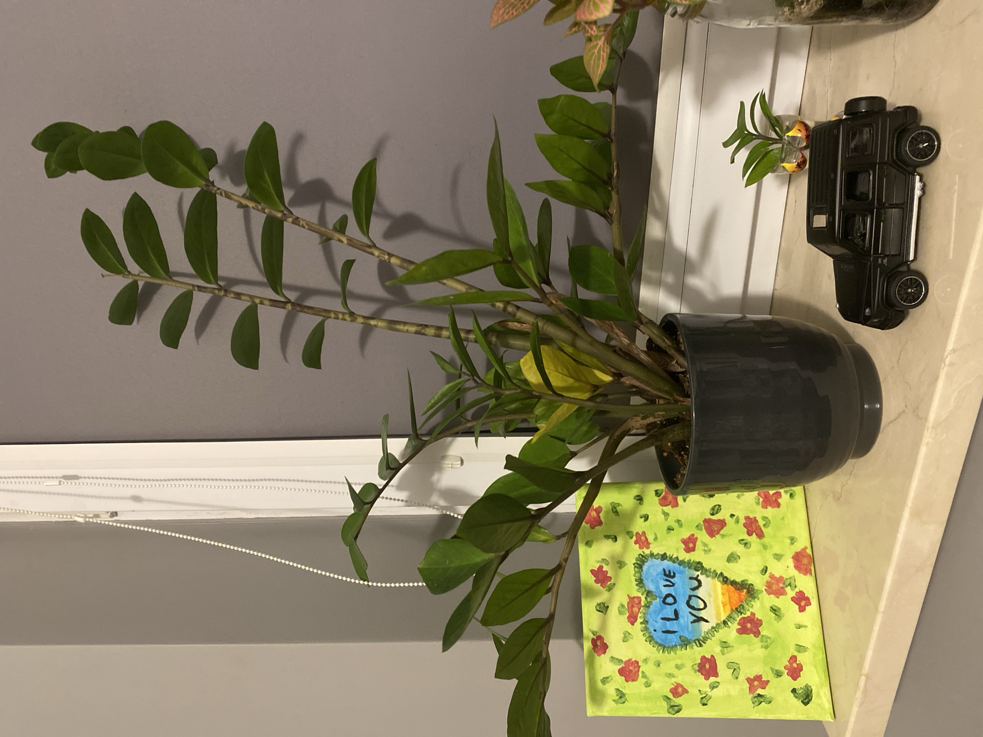 A black toy Mercedes-Benz G-Wagon sits on a marble-like windowsill. To the left of the toy car is a small potted plant, and to the right, a small glass jar containing another plant. Behind the car and plants is a large potted ZZ plant with glossy green leaves. To the left of the ZZ plant is a square canvas painting with a lime green background, decorated with small red flowers. In the center of the painting is a blue heart with yellow and orange accents at the bottom, with the words "I LOVE YOU" written inside. The scene is illuminated by natural light filtering through a window with white blinds. The background is a plain gray wall. The overall setting suggests an indoor domestic environment, possibly a windowsill in a residential building in Łódź, Poland, given the prompt's request. There are no people visible in the image, and no actions or interactions are occurring.