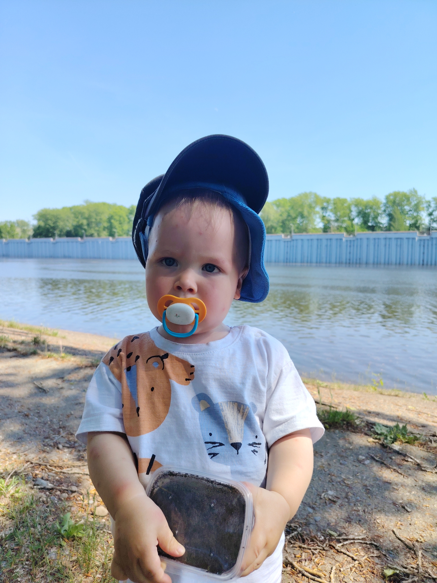 A young child with fair skin and a pacifier in their mouth stands in front of a body of water, possibly a river. The child is wearing a white t-shirt with cartoon animal prints and a blue baseball cap. They are holding a clear plastic container with dark contents, likely soil, in their hands.
The background shows a concrete embankment or retaining wall along the water's edge, with green trees visible further away. The sky is clear and blue. The ground around the child is sandy and interspersed with small patches of grass and twigs.
The location appears to be a park or recreational area along the river in Chaikovsky, Russia.