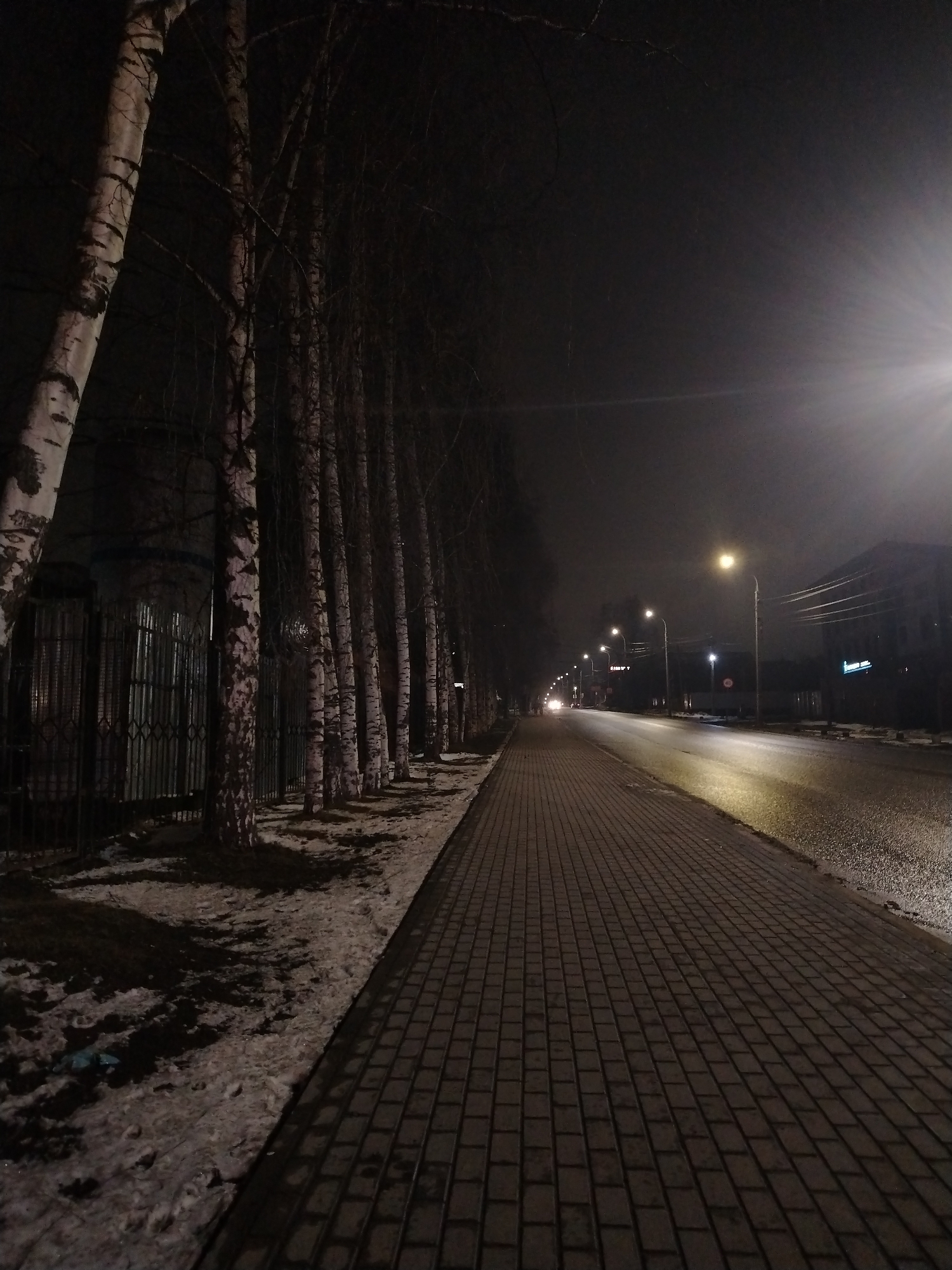 A nighttime scene in Izhevsk, Russia, shows a sidewalk paved with dark-colored pavers that stretches into the distance. A row of birch trees with distinctive white bark lines the left side of the sidewalk, adjacent to a fence. Patches of snow are visible on the ground between the trees and the sidewalk. To the right of the sidewalk is a wet road illuminated by a series of streetlights, casting a glow on the pavement. In the distance, the headlights of a vehicle can be seen. Buildings are visible on the right side of the road, with illuminated signage. The sky is dark and overcast, contributing to the overall somber atmosphere.