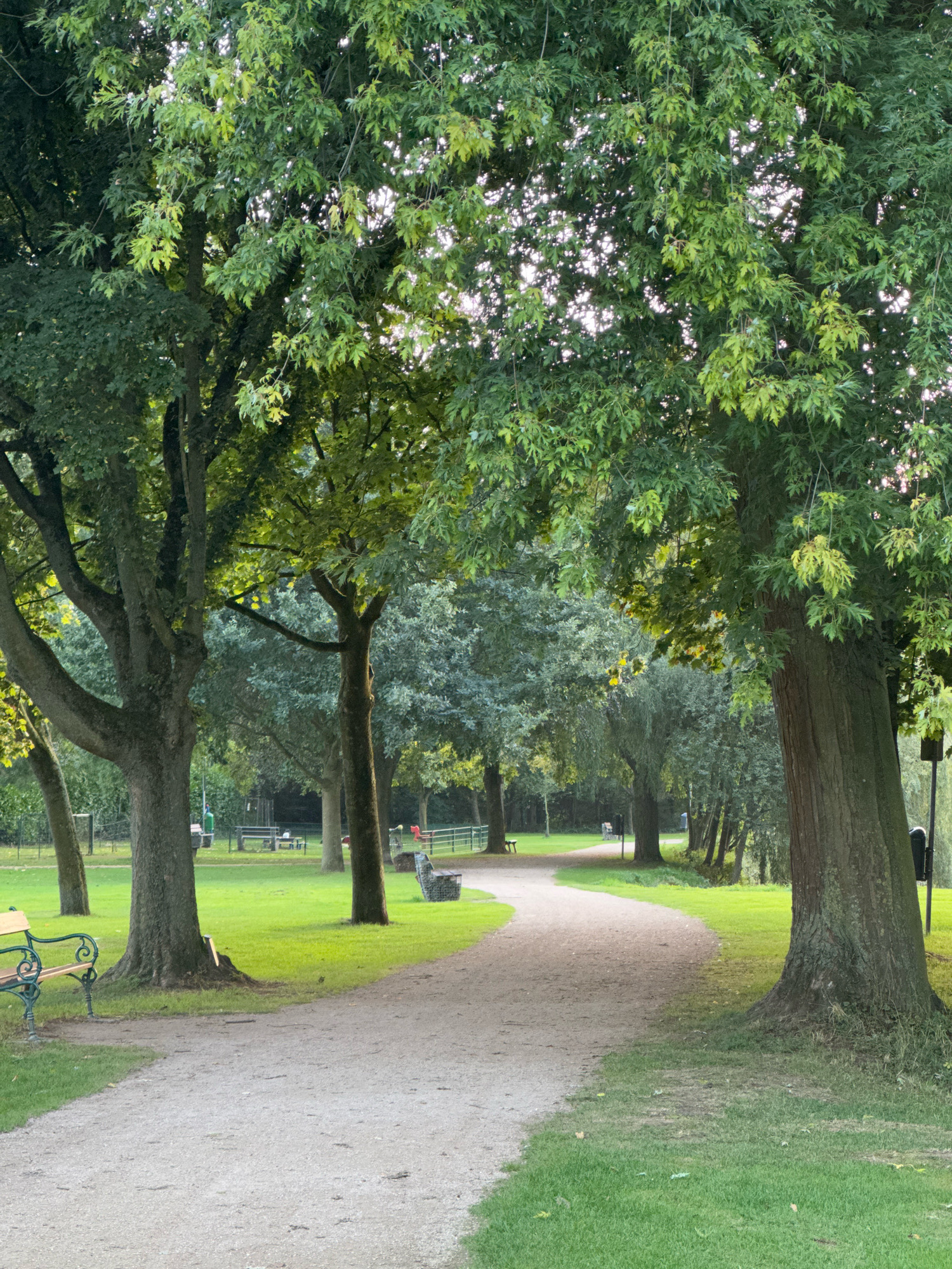 The image shows a park pathway winding through a lush green park on a clear day. Large trees with vibrant green leaves dominate the foreground and midground, casting dappled shadows on the path and grass. The pathway is made of light-colored gravel and curves gently into the distance. Benches are visible on either side of the path, with one green and wooden bench in the left foreground and others further back. The grass is neatly mown, and a fence can be seen in the background, suggesting a boundary or the edge of the park. The overall impression is one of tranquility and natural beauty within an urban setting. This scene is located in the city of Cleves, Germany, in a park area.