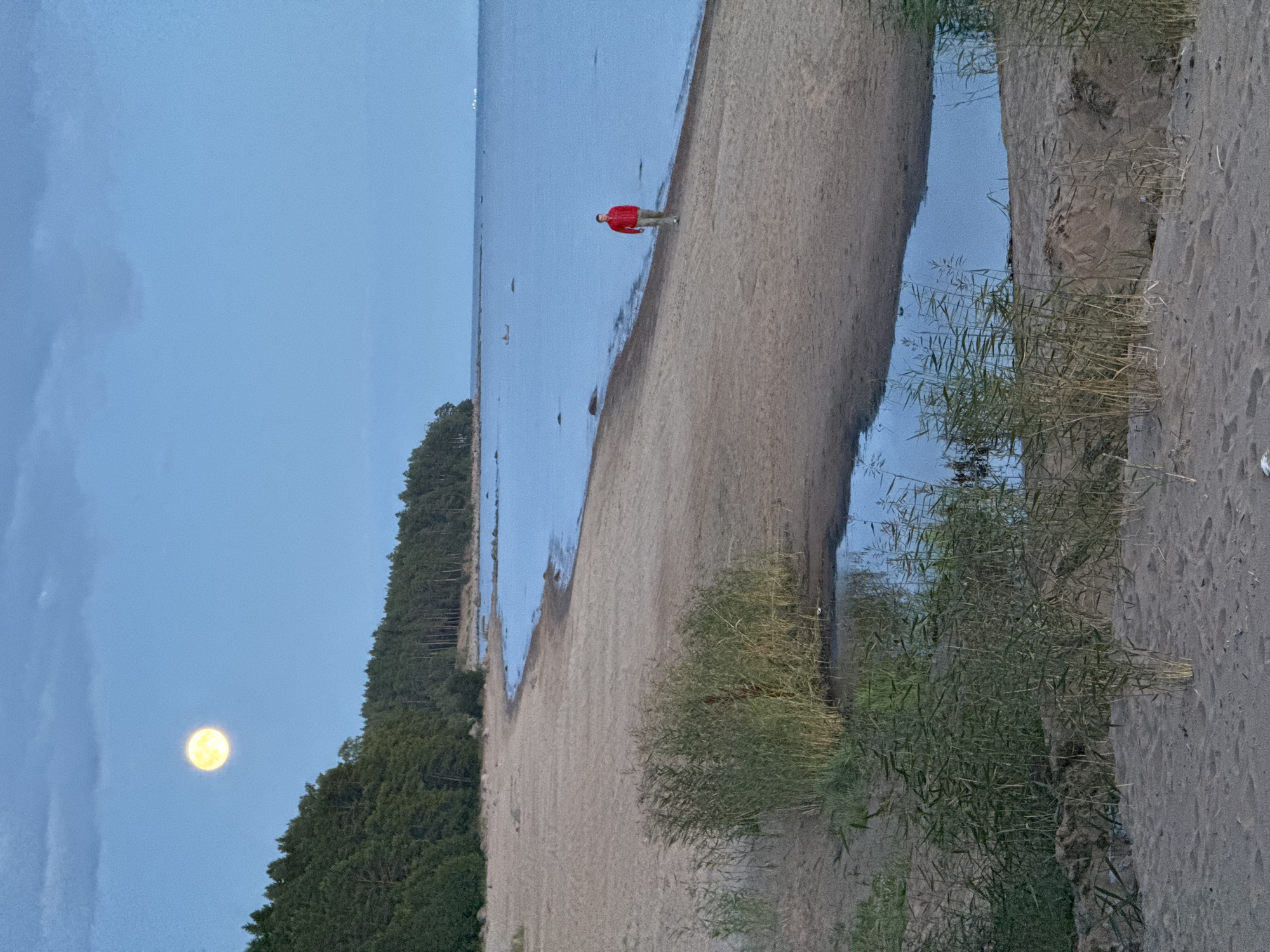 A full moon hangs in the twilight sky over a sandy beach in Zelenaya Roshcha, Russia. A lone man, wearing a red jacket and light-colored pants, walks along the shoreline. The beach is backed by a dense pine forest, and the calm sea stretches out to the horizon. A small pool of water sits on the sand near the foreground, surrounded by tall grasses. The overall scene is peaceful and serene, with the moonlight casting a soft glow on the landscape.