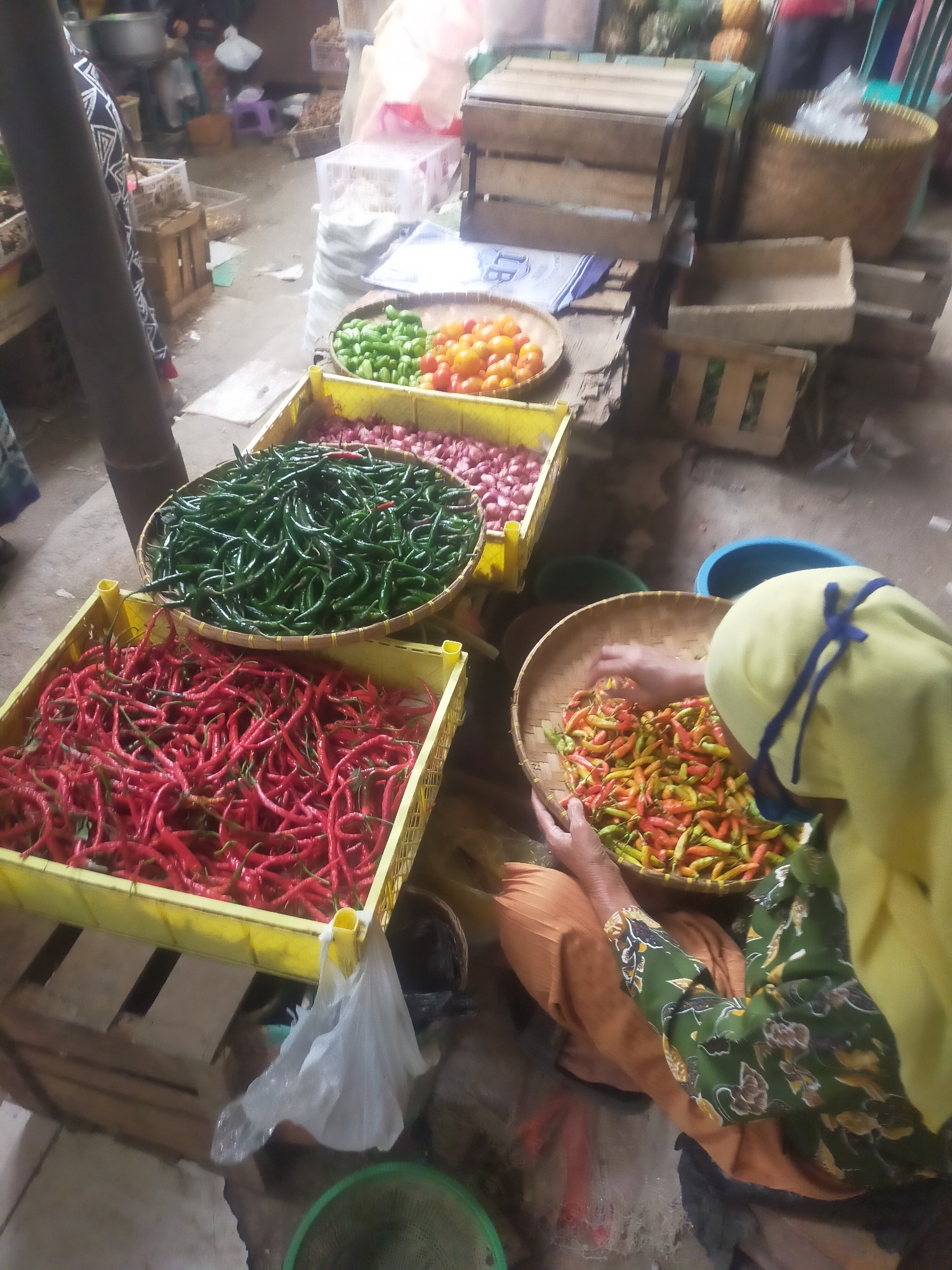 In the city of Trayeman, Indonesia, a market scene unfolds with a focus on a variety of chili peppers. A woman, wearing a yellow headscarf and an olive green patterned long-sleeved shirt over an orange pleated skirt, is seated. She is in the process of selecting chili peppers from a woven basket. The basket contains a mix of small, colorful chili peppers in shades of green, yellow, and red.
In front of the woman, a large yellow plastic crate is overflowing with long, red chili peppers. To the left of this crate, another yellow plastic crate holds a large pile of dark green chili peppers, also long and slender. Behind these crates, another crate is visible, filled with red onions. Further in the background, smaller baskets and wooden crates are stacked, some containing produce, and a few white plastic bags are scattered around. The ground appears to be concrete or packed dirt. The overall atmosphere suggests a bustling marketplace setting.