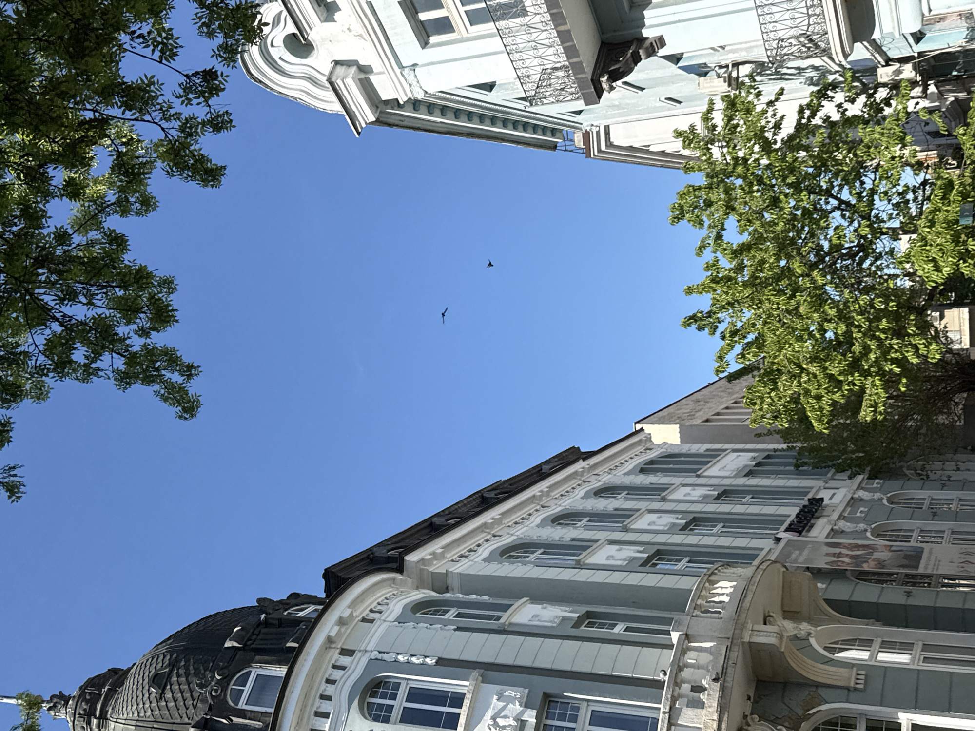 The image depicts an upward view in Pleven, Bulgaria, encompassing architectural elements and natural features. Two birds are visible in the clear, blue sky. Portions of buildings with ornate, light-blue facades and white trim frame the scene. On the left, a dome-shaped roof is partially visible. Trees with green foliage occupy the upper left and right quadrants of the image.
