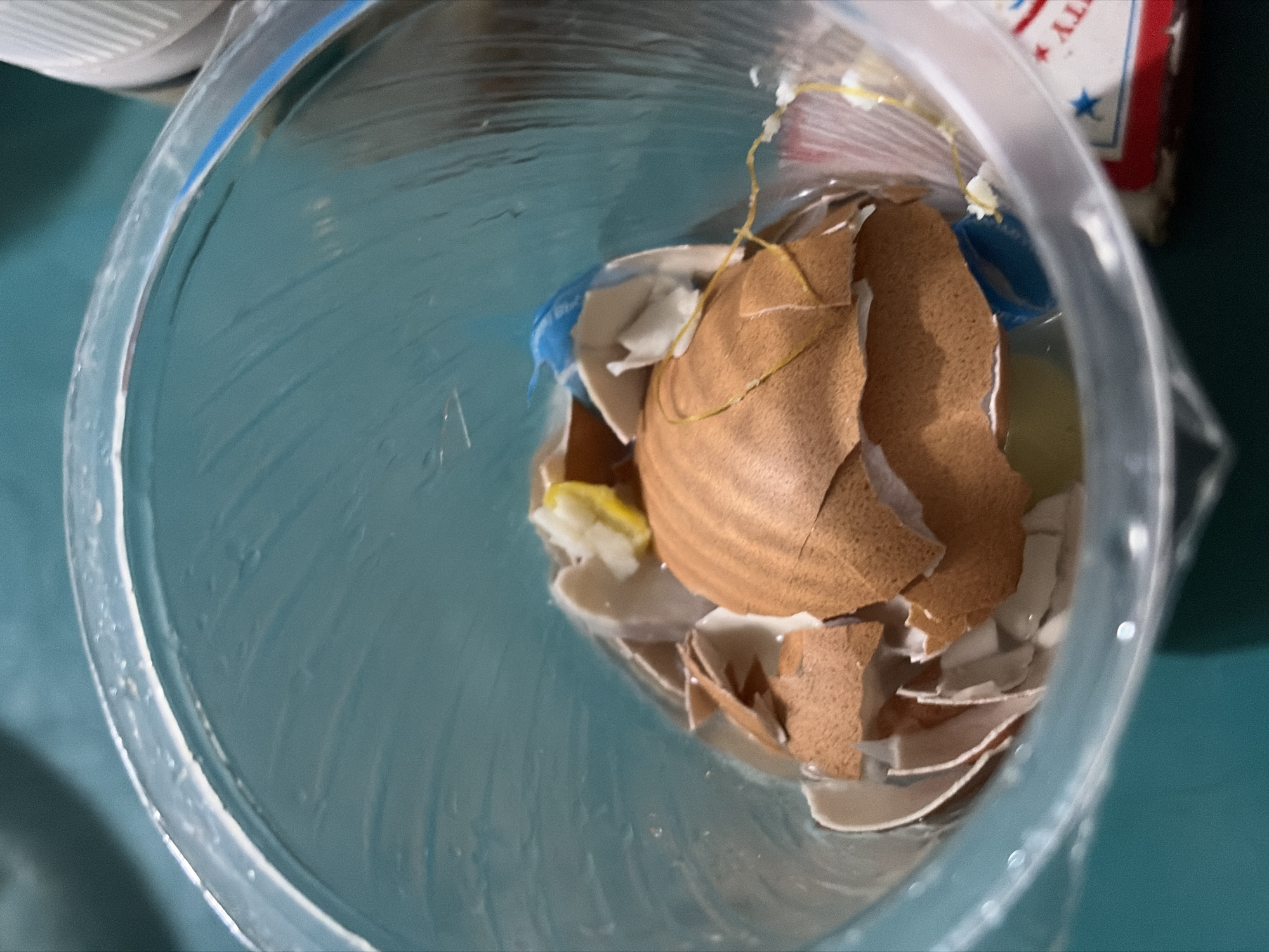 The image displays the interior of a clear plastic cup containing a mixture of water and fragmented eggshells. There is also a small piece of yellow citrus peel and a blue plastic cap submerged in the water. The cup's interior surfaces show some water droplets and a slightly cloudy texture. The exterior of the cup is visible, revealing a textured, teal-colored surface that appears to be a table or countertop. A portion of a red, white, and blue patterned object, possibly packaging or a label, is visible in the lower right corner. The image does not contain any information or visual cues that would suggest a location in Tupah, Indonesia, or any specific city.