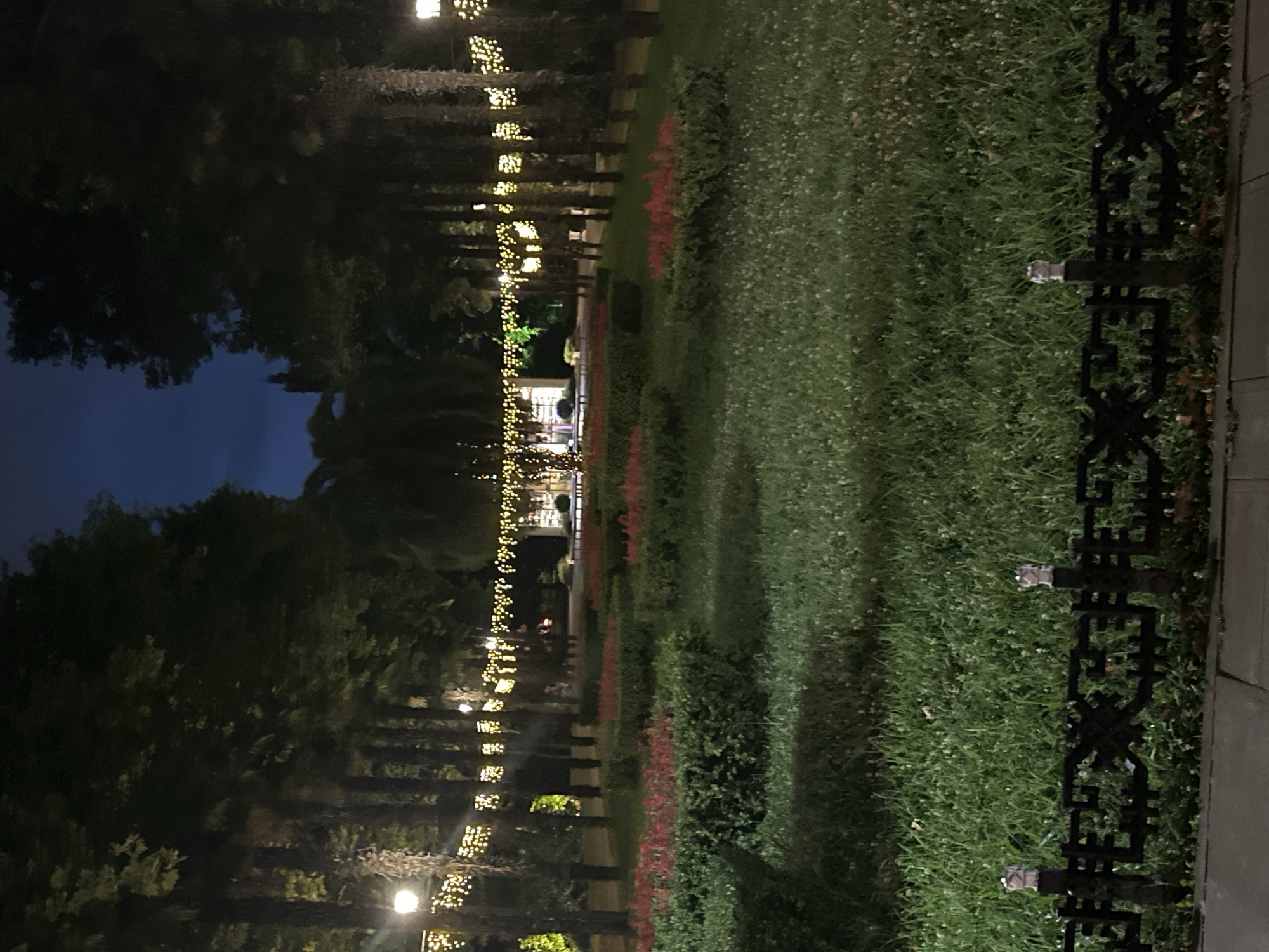 A nighttime view of a park with manicured gardens and tall trees adorned with strings of yellow lights. A black wrought-iron fence with decorative finials runs along the bottom of the image, separating the grassy area from a paved walkway. The park appears to be illuminated by the overhead string lights and some distant building lights. The sky is dark blue, indicating it is nighttime. The park is located in Sochi, Russia, likely a public space or promenade designed for evening strolls and events. There are no people or animals visible in the image. The scene is serene and festive due to the decorative lighting.