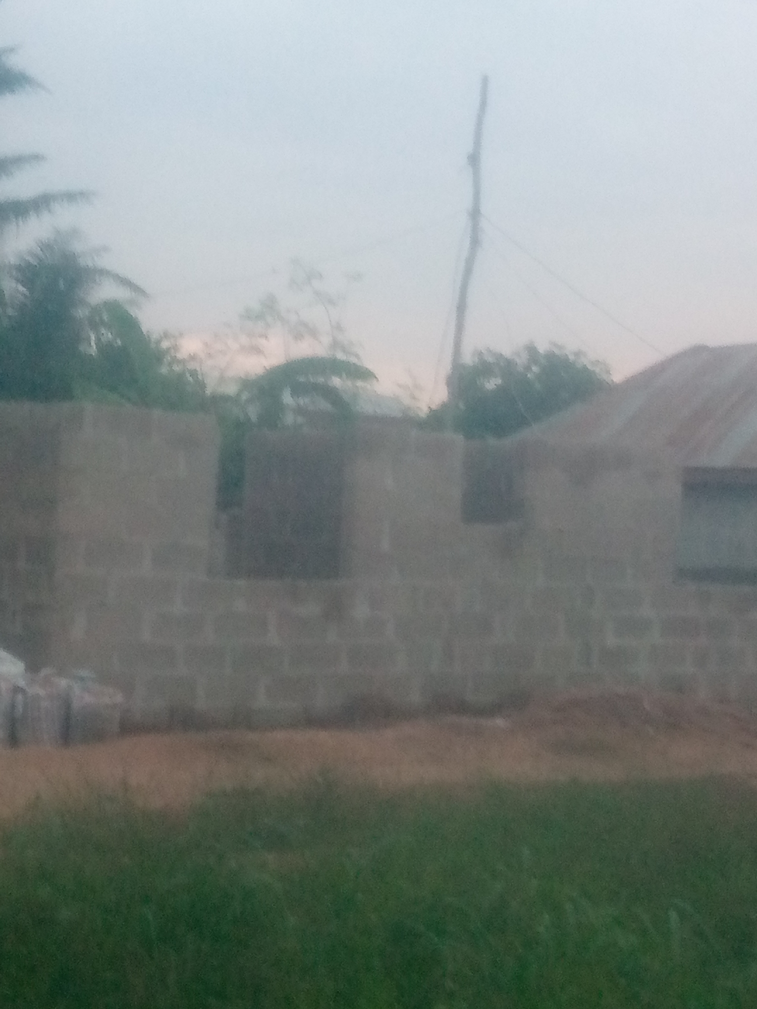 The image depicts a partially constructed building in Jalingo, Nigeria. The building appears to be made of cinder blocks, with openings suggesting doorways and windows. A corrugated metal roof is visible on a section of the structure, indicating ongoing construction. In the foreground, there is a patch of green grass and dry earth, typical of an outdoor environment. In the background, trees and a utility pole are visible against a hazy sky, suggesting an overcast or early morning/late evening time of day. The overall scene is muted in color due to the lighting conditions, possibly indicating dawn or dusk. There is no text visible in the image. The image captures a moment of development and ongoing construction in a rural or semi-rural setting.