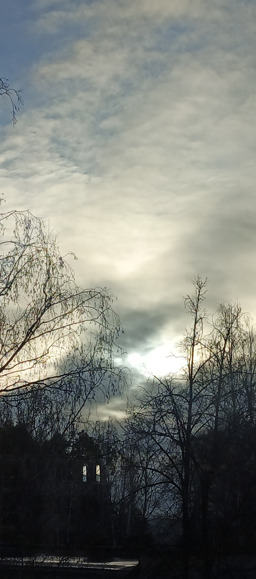 The image captures an atmospheric outdoor scene in Chaikovsky, Russia, likely during late autumn or winter. The upper portion is dominated by a vast sky filled with scattered, mostly light grey clouds, with hints of blue sky peeking through. The sun, partially obscured by the clouds, creates a brilliant, diffused glow towards the center-right, casting a bright light through the overcast conditions.
In the foreground and midground, numerous bare trees with intricate, leafless branches are silhouetted against the sky. A large, weeping-style tree is prominent on the left, while other deciduous trees with stark branches fill the right side and lower half of the frame, forming a dense, dark mass.
Nestled within the dark silhouette of the trees in the lower-middle, a distant structure is faintly visible, distinguished by two prominent, bright rectangular openings that appear to be windows, possibly illuminated or reflecting the bright sky. Below the treeline, at the very bottom, a horizontal strip of reflective surface, possibly water (such as a river or lake) or wet ground, mirrors the light from the sky.
The scene conveys a sense of quiet contemplation and natural beauty on a cloudy, potentially cold day. The time of day appears to be daytime, possibly late morning or afternoon, given the sun's position and diffused light. There are no people or discernible activities taking place. No visible text is present.