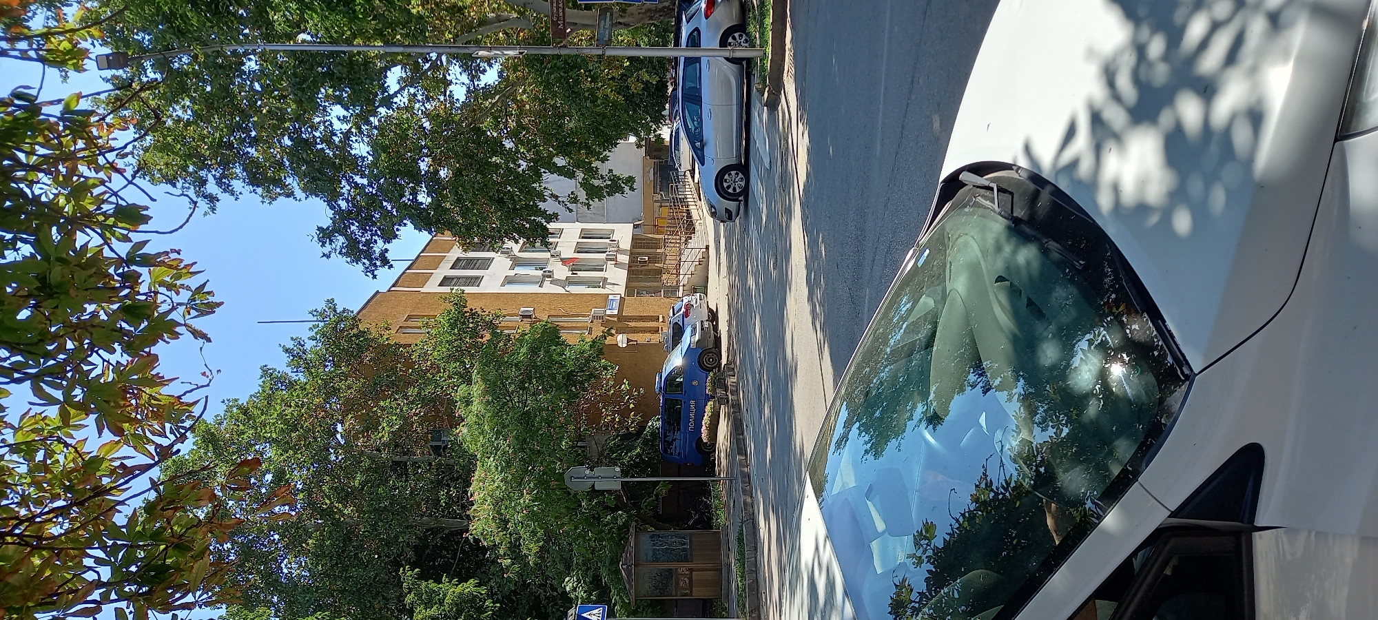This image captures a street scene in Silistra, Bulgaria, on a sunny day. In the foreground, the hood and windshield of a white car are prominently displayed, reflecting the surrounding trees and sky. The street is paved, with a crosswalk visible.
Beyond the car, a light-colored multi-story building with an orange and beige facade stands. Several windows, some with blinds, are visible on the building. A blue police van, marked with the word "ПОЛИЦИЯ" (POLITSIYA, meaning Police), is parked in front of the building, alongside a white car. A small, glass-enclosed structure, possibly a bus stop or kiosk, is located on the left side of the street.
Mature trees with green foliage line the street, casting dappled shadows on the ground. The sky is clear and blue. The overall impression is one of a typical urban environment on a bright day.