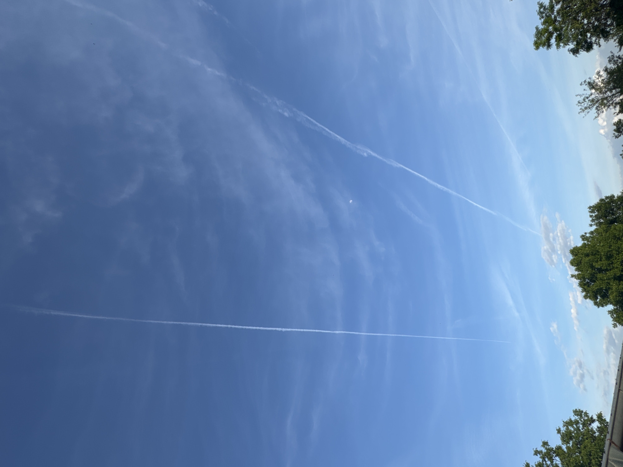 The image shows a daytime sky with several visible contrails against a blue background with cirrus clouds. There are trees visible in the lower right and upper right corners of the image. The location appears to be outdoors, potentially near or in Sarnevo, Bulgaria, though specific details confirming the location within Sarnevo are absent from the visual data. There is no information about any individuals present.