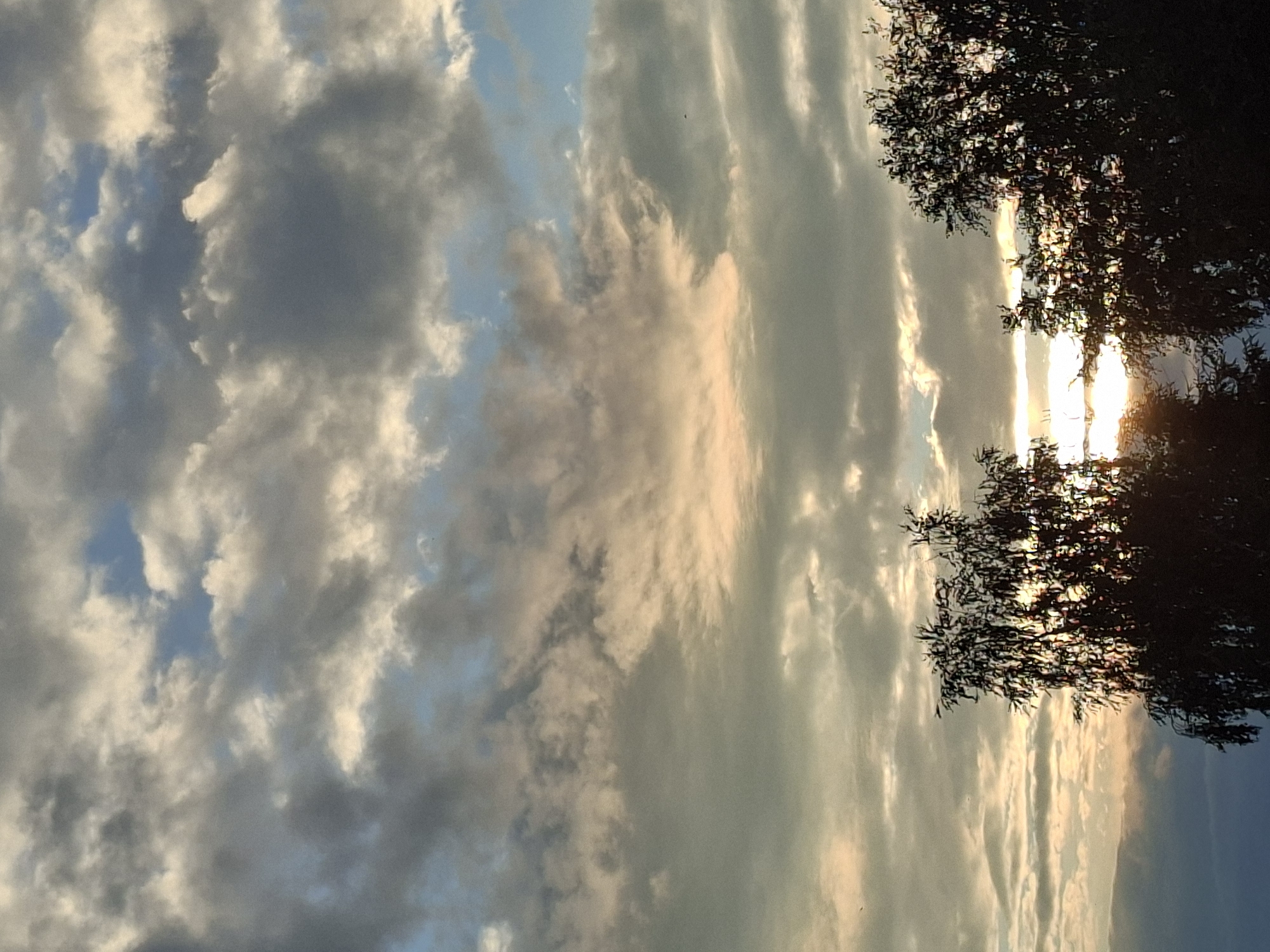 The image captures a dramatic sky filled with a variety of clouds. Dark, heavy clouds are interspersed with lighter, wispy formations that catch the sun's glow, creating streaks of yellow and pink. The light is filtering through the clouds, suggesting either sunrise or sunset. Silhouetted against the sky on the right side of the image are the branches of a tree, its dark foliage contrasting with the bright, illuminated sky. The overall scene evokes a sense of natural beauty and perhaps a touch of drama due to the turbulent cloud formations and the intense light. There is no visible text in the image.