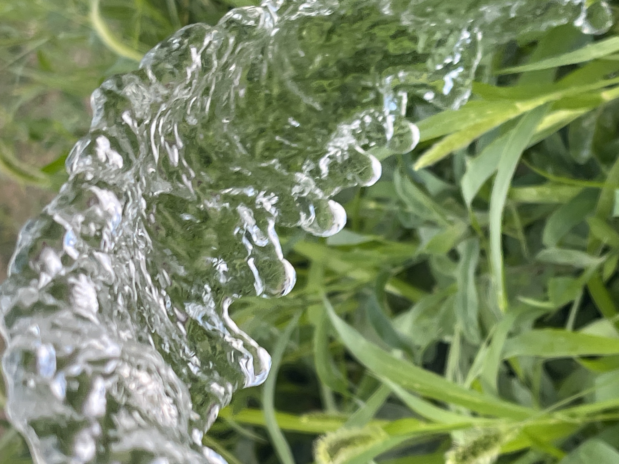 A close-up, macro shot captures a stream of water, possibly from a sprinkler or hose, in motion over a bed of lush green grass. The water is translucent and appears to be flowing from the upper left of the frame, with several droplets forming and detaching from the main stream. The background consists of blurred green foliage, suggesting an outdoor environment. The image does not contain any people or discernible man-made structures. The specific location in Krasnyye Barrikady, Russia, is not evident from the visual information provided in the image.