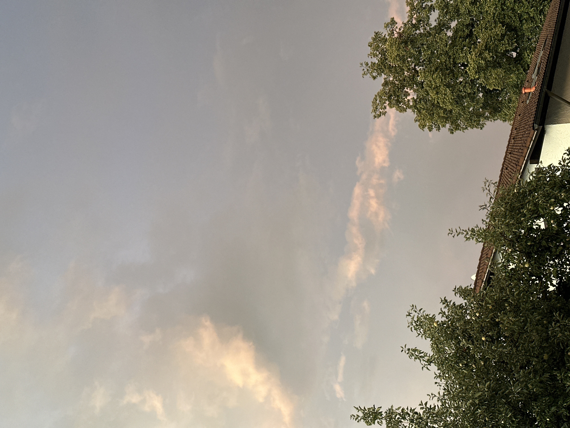 The image captures a view of the sky over Bad Endorf, Germany, with the roofs of houses and trees in the foreground. The sky is filled with scattered clouds, some of which are tinged with a soft, peachy light, suggesting it might be sunrise or sunset. Two houses with brown tile roofs are visible, partially obscured by lush green trees. The trees, which appear to be fruit-bearing with some visible apples, add a natural element to the urban landscape. The overall scene is serene and peaceful, with the natural beauty of the sky and trees contrasting with the man-made structures.