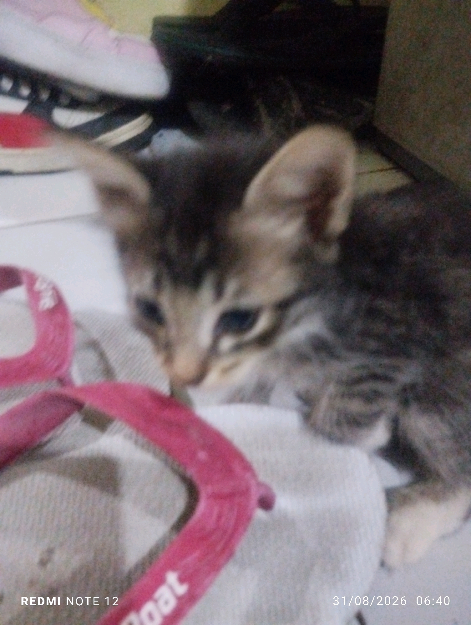 The image shows a kitten with tabby markings lying on a light-colored surface. In the foreground, there are parts of a pink object, possibly a shoe or a toy, with the word "boat" visible. In the background, there are blurred shapes of footwear, including what appears to be a pink shoe and black and red sneakers. The scene is indoors, with a rough texture visible in the lower right corner, suggesting a wall or furniture. The bottom of the image contains text overlays: "REDMI NOTE 12" on the left and "31/08/2026 06:40" on the right, indicating the device used and the date and time the photo was taken. There is no specific indication of the location being in Bekasi, Indonesia.