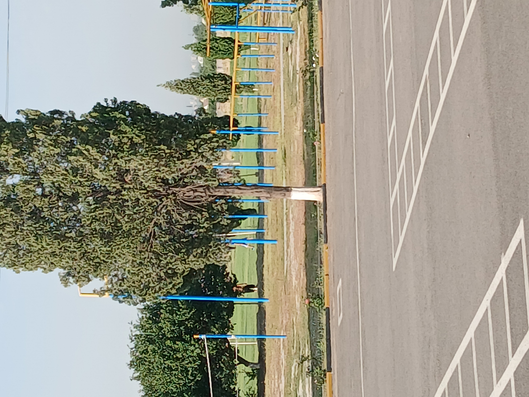 The image depicts an outdoor scene, likely a park or recreational area, with a focus on a gymnasium with blue and yellow bars. In the foreground, there is an asphalt surface marked with white squares, resembling a parking lot or game court. Beyond this, a grassy area is visible with several trees, one large tree with a white-painted base positioned centrally in the frame. The gymnasium equipment, consisting of vertical blue poles supporting horizontal yellow bars, is spread across the midground. Two individuals are present in the midground; one is standing near the gymnasium equipment, appearing to be wearing dark shorts and a lighter-colored top, while another person is partially visible further in the background. The background shows more greenery, including trees, and a distant cityscape under a clear blue sky. The overall environment suggests a sunny day in a community space. The location is identified as Аскари- сурх, Tajikistan.