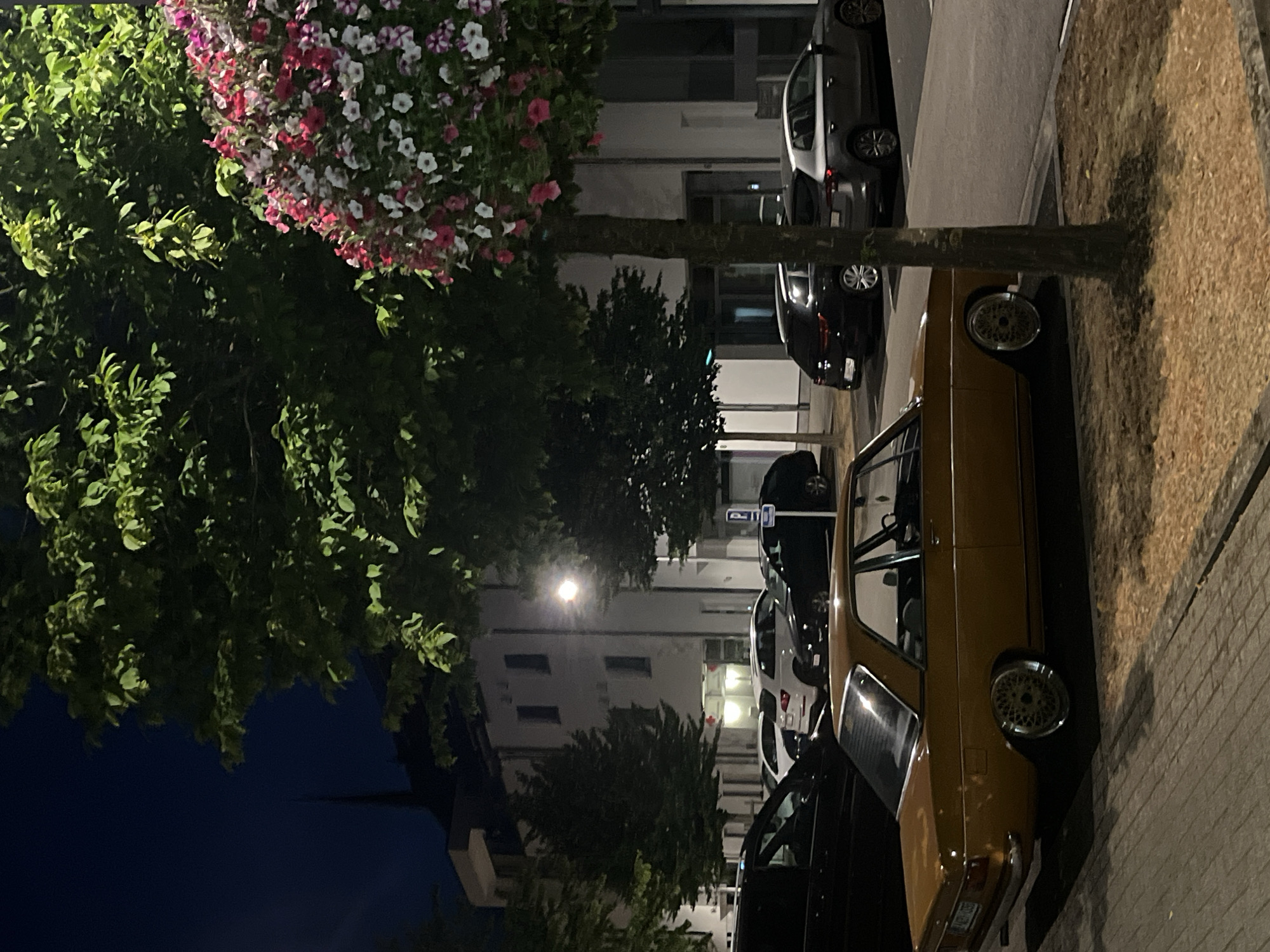 A vintage brown sedan is parked on a paved area next to a street at night. The car has a distinct retro design, with prominent chrome trim and spoke wheels. Behind the car, several other vehicles are parked, including a white SUV and a black hatchback. A white building with multiple windows is visible in the background, along with trees and a lamppost. A cluster of pink and white flowers hangs from a tree in the foreground. The scene appears to be in an urban environment, likely a parking lot or street in Saint-Vith, Belgium, given the available context. There are no people visible in the image.