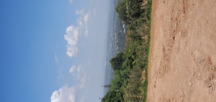 The image presents an elevated panoramic view from Ewuaso Oonkidong'i ward, Kenya. The foreground consists of an expanse of reddish-brown, dry earth, characterized by uneven surfaces, ruts, and loose soil. A dense line of green vegetation, including various bushes and trees, stretches horizontally across the midground. Beyond this foliage, a sprawling urban or semi-urban landscape is visible in the background, featuring numerous indistinct buildings and a faint linear structure possibly indicating a road or elevated thoroughfare, all partially obscured by atmospheric haze. The sky occupies the upper portion of the frame, displaying a clear, bright blue hue with scattered white cumulus clouds. No people, animals, or specific objects are present in the foreground or midground, and no actions or interactions are discernible.