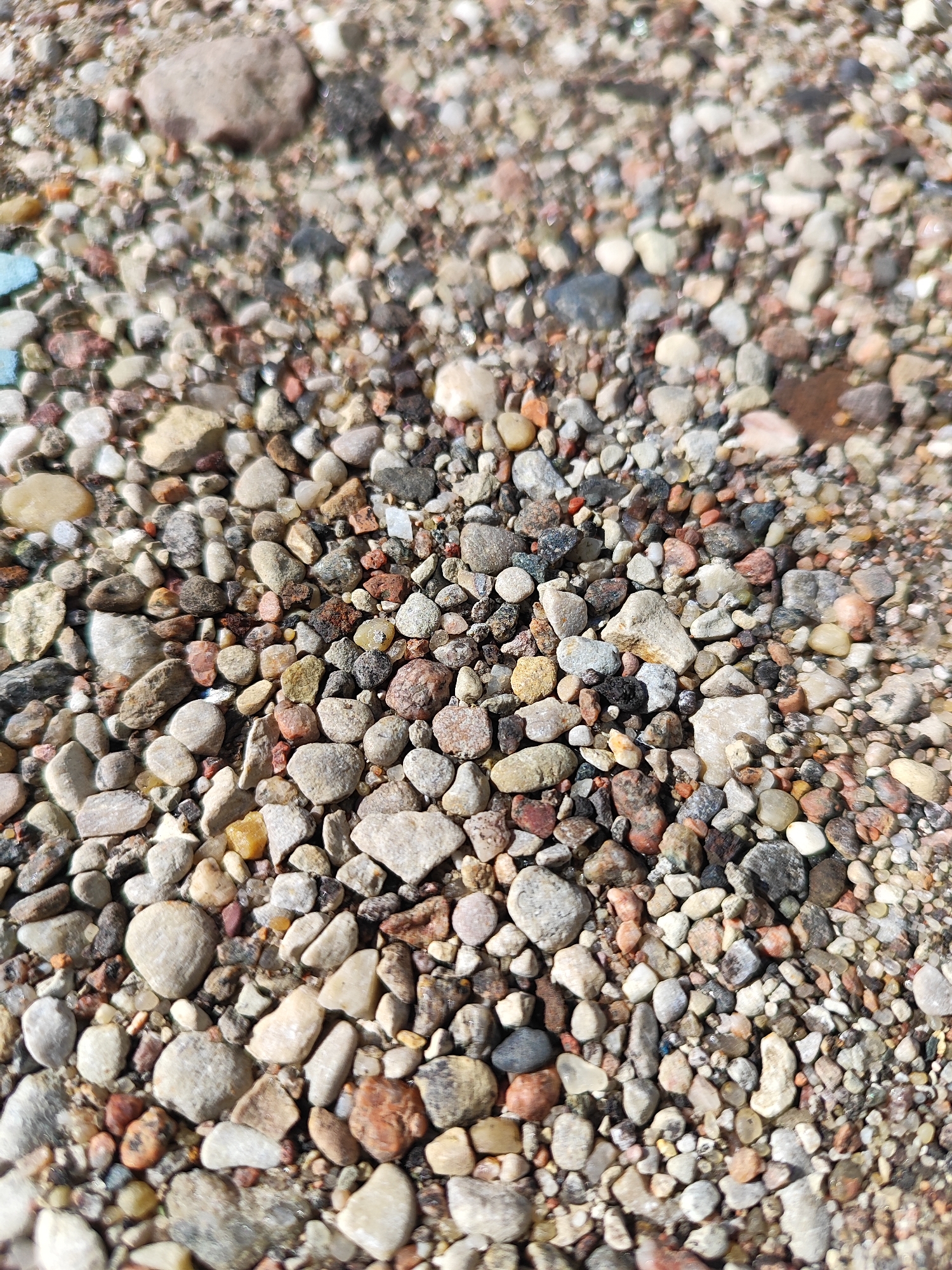 A close-up, overhead view shows a patch of ground covered with a variety of small, multi-colored pebbles and gravel. The pebbles range in size from grains of sand to about an inch in diameter and display a spectrum of colors including gray, white, tan, pink, orange, and dark brown. Some of the pebbles are smooth and rounded, while others are more angular. The ground appears to be composed of a mix of sand and these small stones. There are no visible people, animals, or man-made objects in the frame. The lighting suggests an outdoor environment, possibly under natural sunlight, casting subtle shadows among the stones.