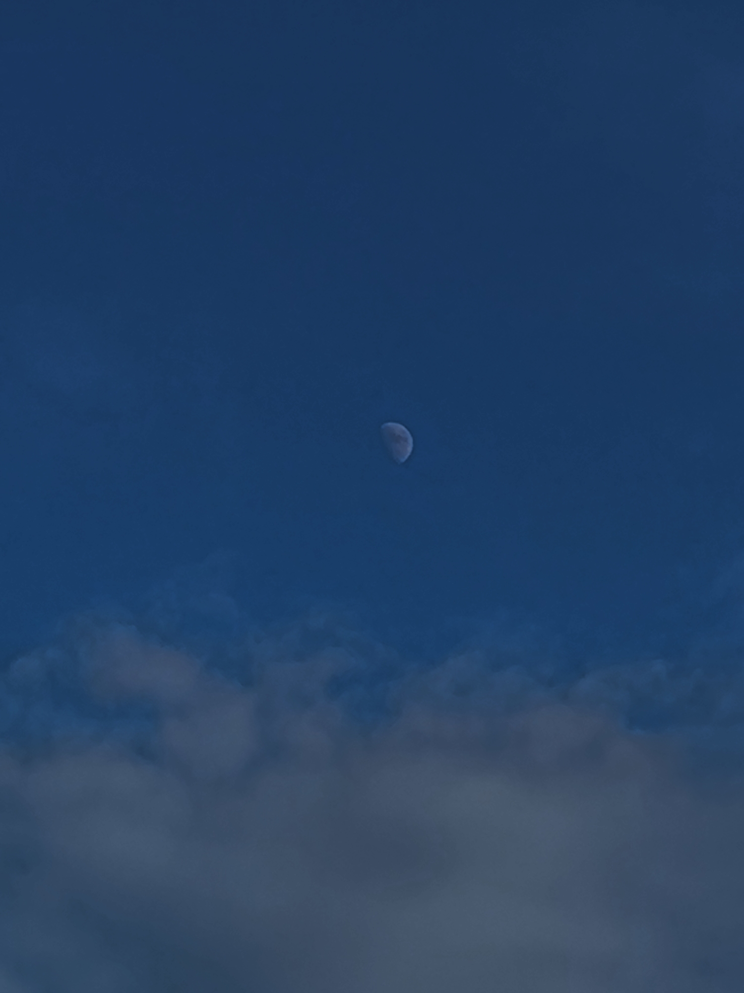A crescent moon is visible in a deep blue sky, with scattered clouds towards the bottom of the frame. The image appears to be a photograph taken in Kostanay, Kazakhstan, likely during twilight or nighttime, given the presence of the moon and the dark sky. There are no people or man-made structures clearly depicted in the image. The scene is natural and serene.