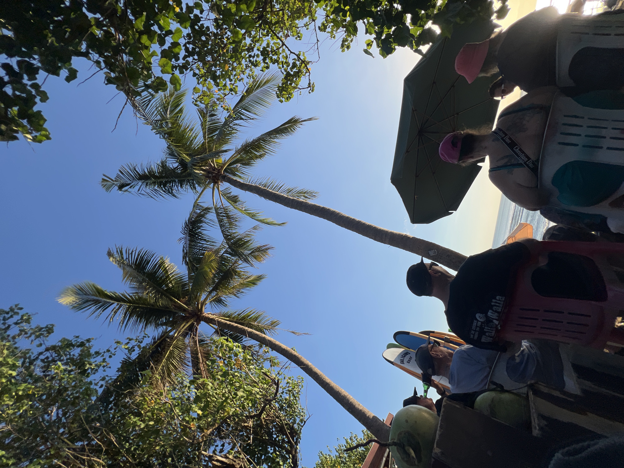 This image captures a group of people gathered on a beach, likely in Kuta, Indonesia, as indicated by the presence of surfboards and palm trees characteristic of the area. The scene is set against a clear blue sky, with the warm glow of the sun suggesting either sunrise or sunset. Several palm trees lean gracefully over the scene, their fronds casting shadows on the sand.
In the foreground, a few individuals are seated in chairs, facing away from the camera, towards the ocean. One person, wearing a black t-shirt with text, is prominently visible. Another person, wearing a pink hat and a turquoise top, sits next to them, also facing the water. A large, dark green umbrella provides shade for some of the group. To the left, a stack of surfboards, some with colorful designs and the word "BALIGURU SURF" visible on one, hints at the beach's popularity for surfing. Two green coconuts sit on a wooden surface to the far left.
The overall atmosphere appears relaxed and casual, typical of a beachside gathering. The ocean is visible in the background, with gentle waves lapping the shore. The natural light illuminates the scene, highlighting the tropical environment and the relaxed demeanor of the people.