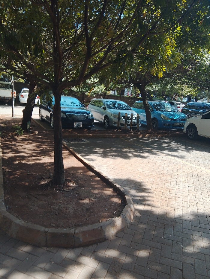 A parking lot shaded by trees contains parked cars, including a black sedan with license plate "KBA 448N," a silver minivan, and a blue car with license plate "KCU 242G." A white car is partially visible on the right. The parking area is paved with light-colored bricks and bordered by a raised curb. Trees cast shadows across the brickwork.